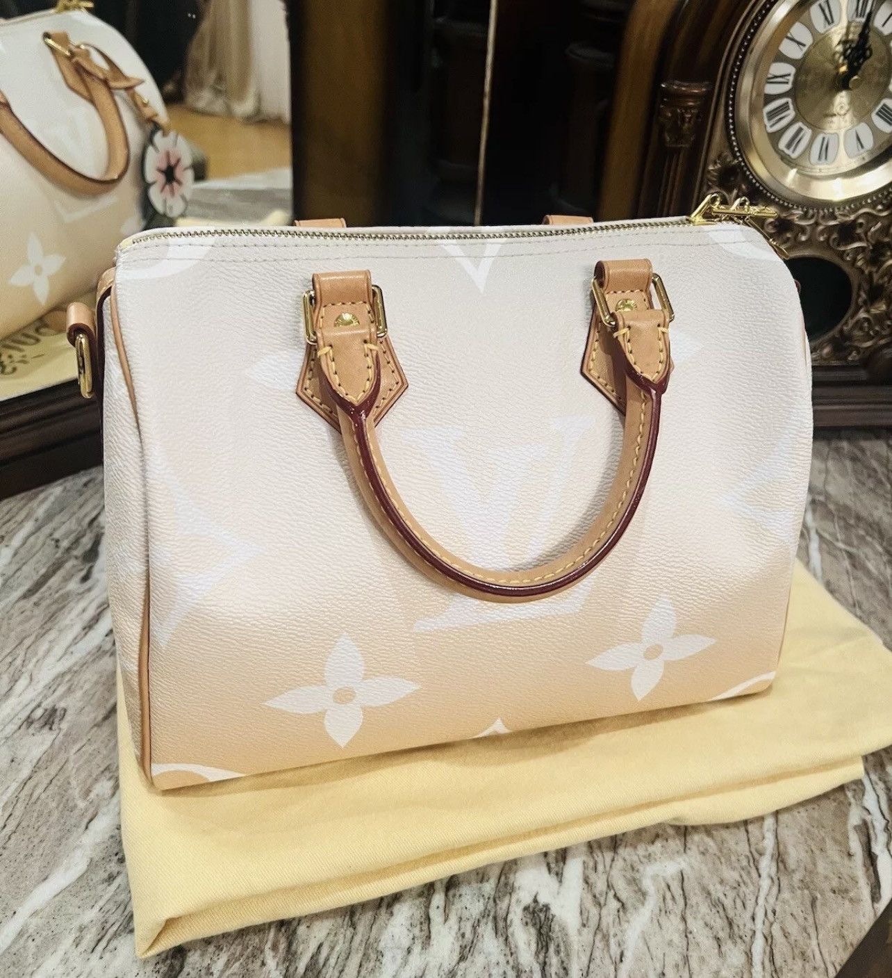 Louis Vuitton Louis Vuitton Speedy 25 Bandouliere Summer Giant Size ONE SIZE - 5 Thumbnail