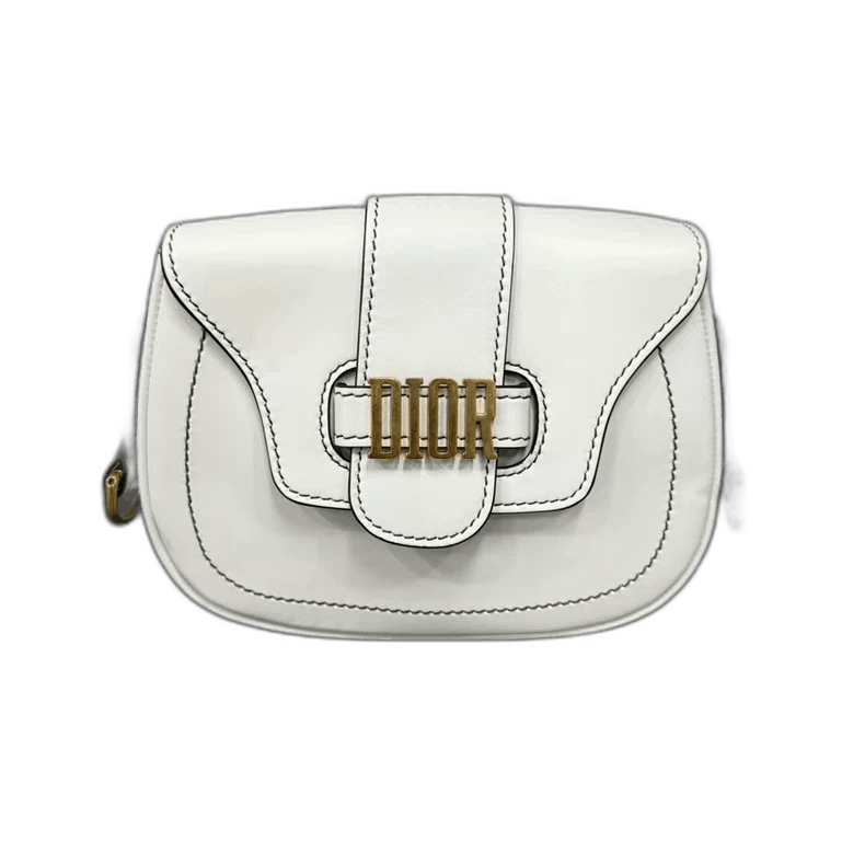 Dior Saddle Bag In White With Gold Hardware-Yf, Men's