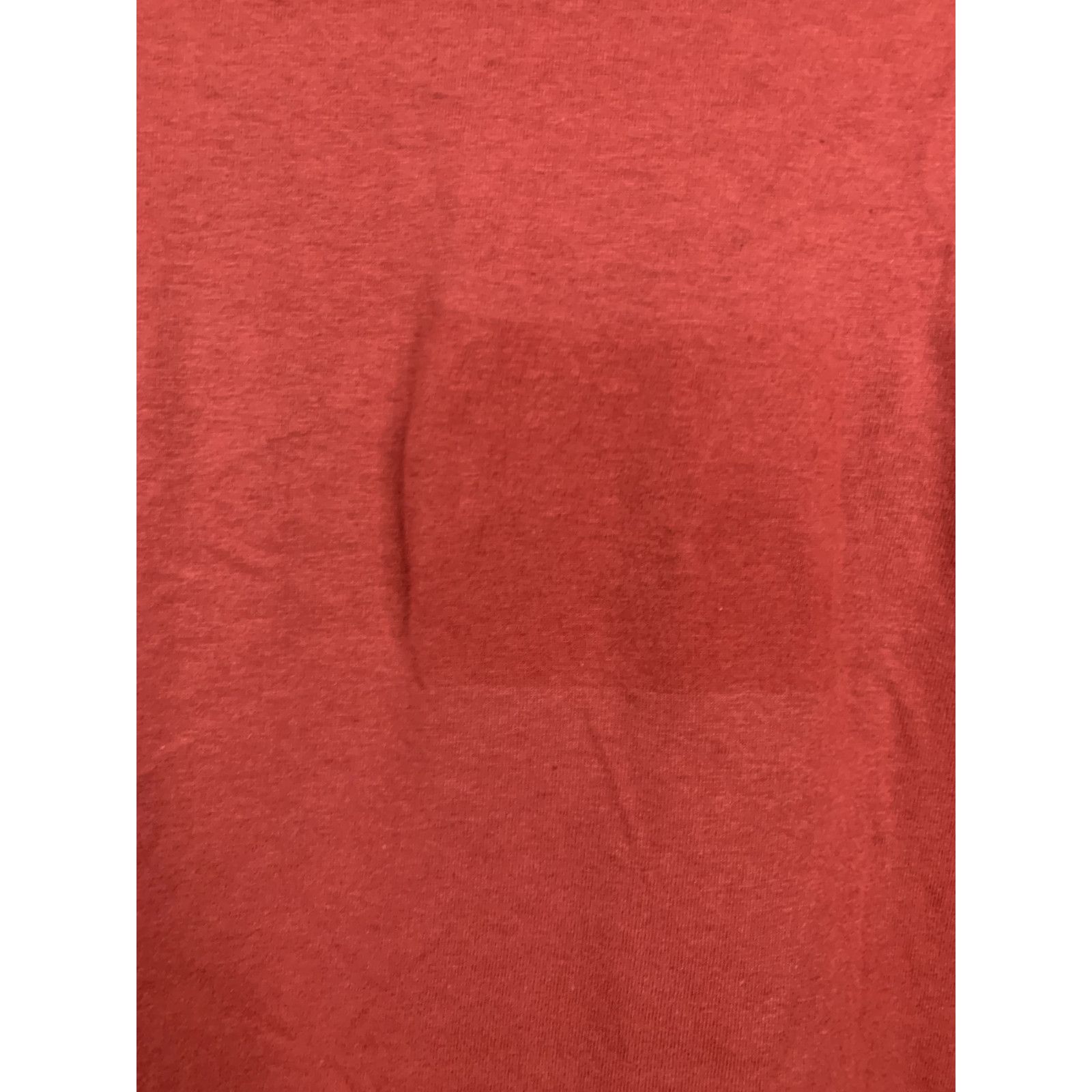 Jerzees Vintage Pennsylvania Pocono Mountains Shirt Red Tee 1995 L Size US L / EU 52-54 / 3 - 7 Thumbnail