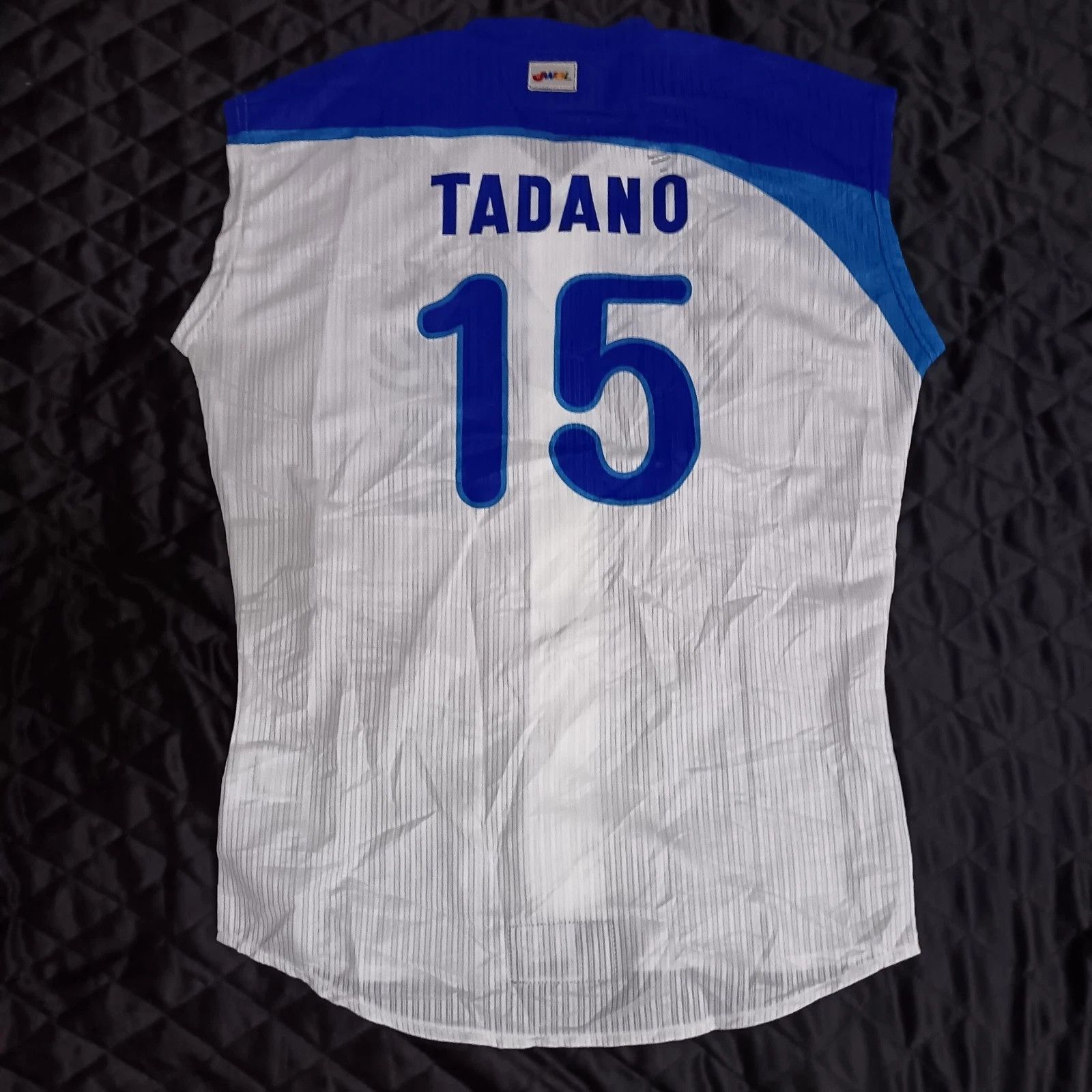 Mizuno Aichi Dione Haruna Tadano JWBL Japanese Baseball Jersey Size M / US 6-8 / IT 42-44 - 6 Thumbnail