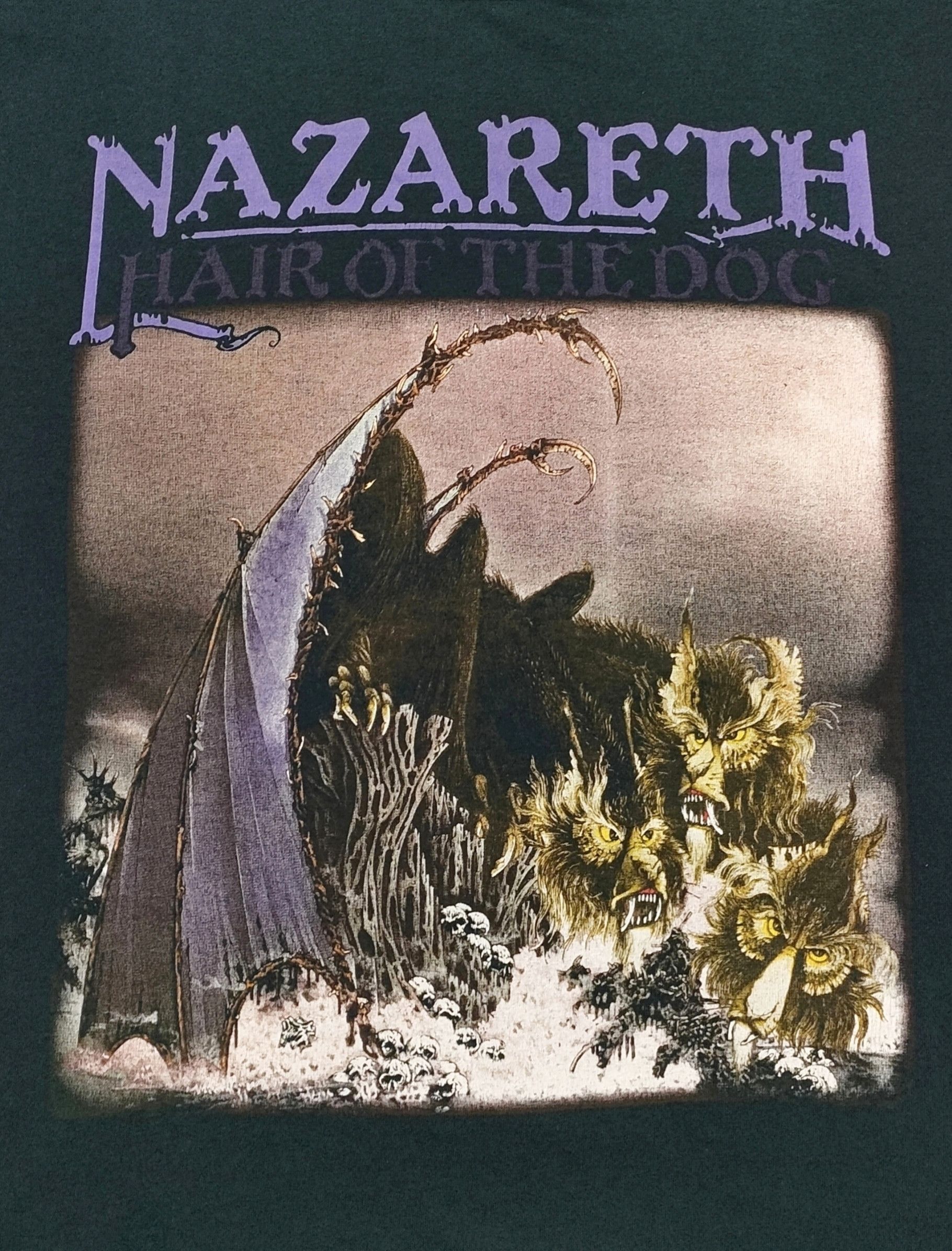 Band Tees RARE 00s NAZARETH - HAIR OF THE DOG Vintage Tee Size US L / EU 52-54 / 3 - 3 Thumbnail