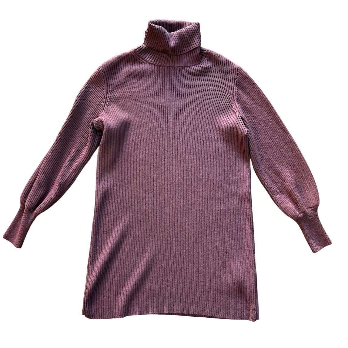 Aritzia Aritzia Wilfred Merino Wool Turtle Neck Ribbed Sweater Dress Size XXS / US 00 / IT 34 - 1 Thumbnail