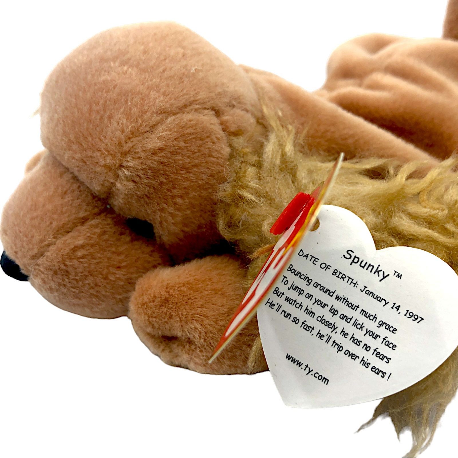 Vintage Ty Beanie Baby 1997 - Spunky the Cocker Spaniel Size ONE SIZE - 3 Thumbnail