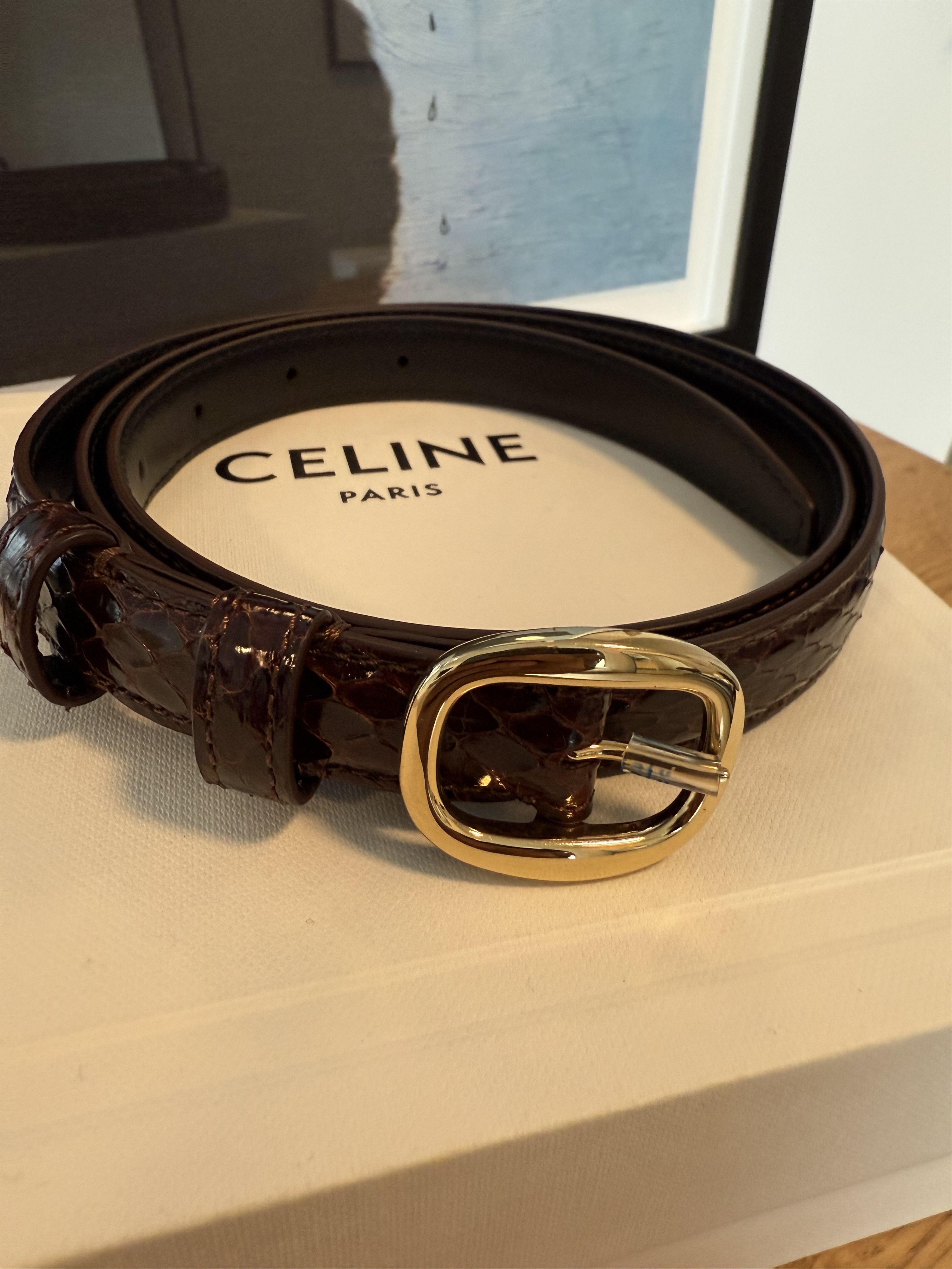 Celine Celine Python Snake Skin Leather Brown Gold Belt - 90 Size ONE SIZE - 1 Thumbnail