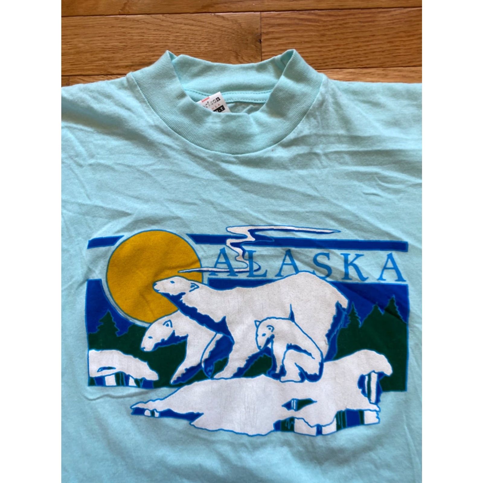 Vintage Vintage Horizon Alaska Polar Bear Mens XL T-Shirt 90s Cotton Blue Hanes Beefy-T Graphic Print Crew Neck Short Sleeve USA Made Mens Size US XL / EU 56 / 4 - 5 Thumbnail