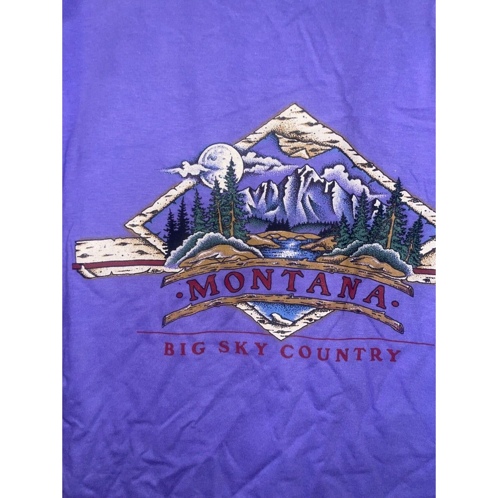 Jerzees Vintage Montana Shirt Big Sky Country Purple Tee VTG 90s L Size US L / EU 52-54 / 3 - 5 Thumbnail