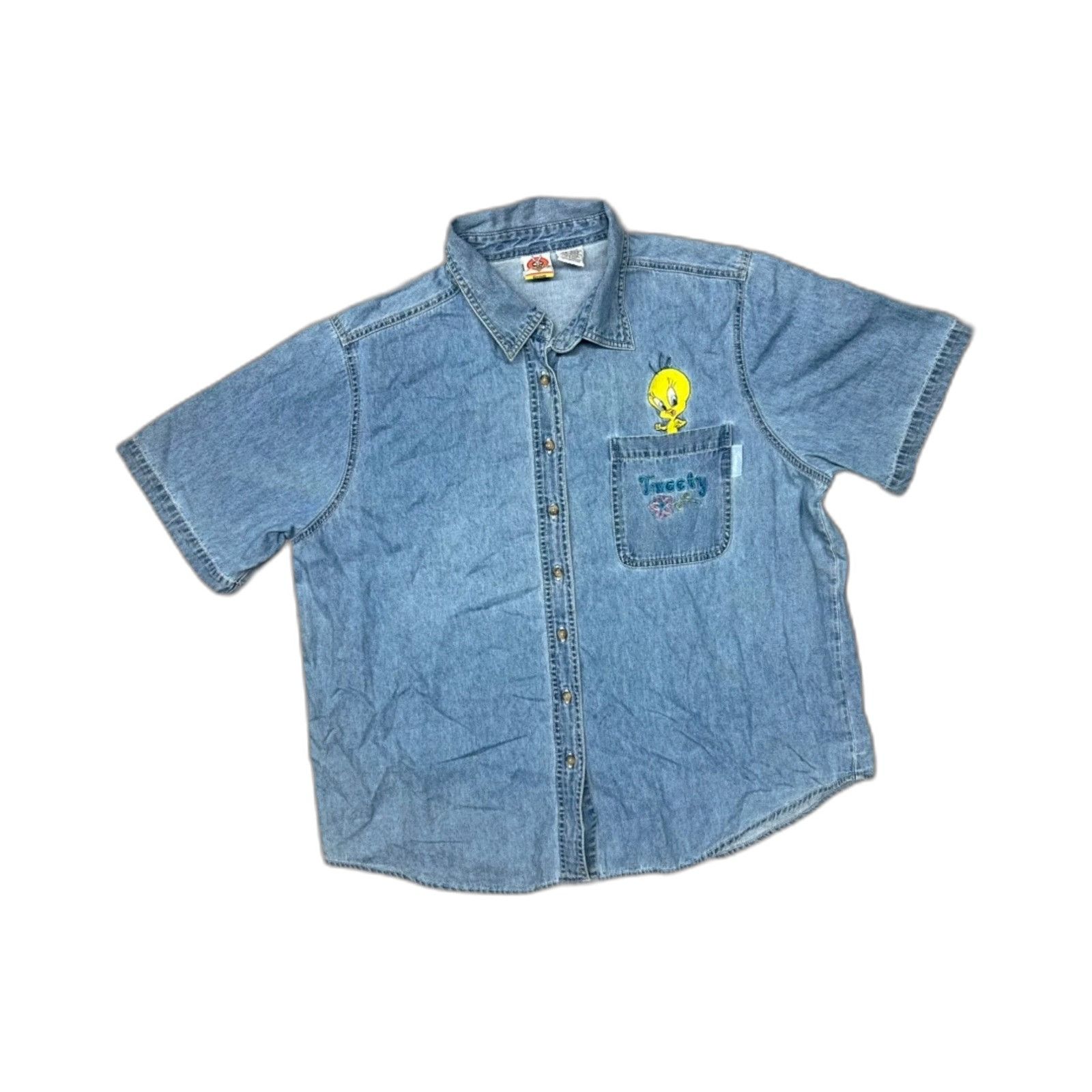 Vintage Looney Tunes Women's 18W / 20W Blue Check Tweety Button Fron Size US XXS / EU 40 - 1 Thumbnail