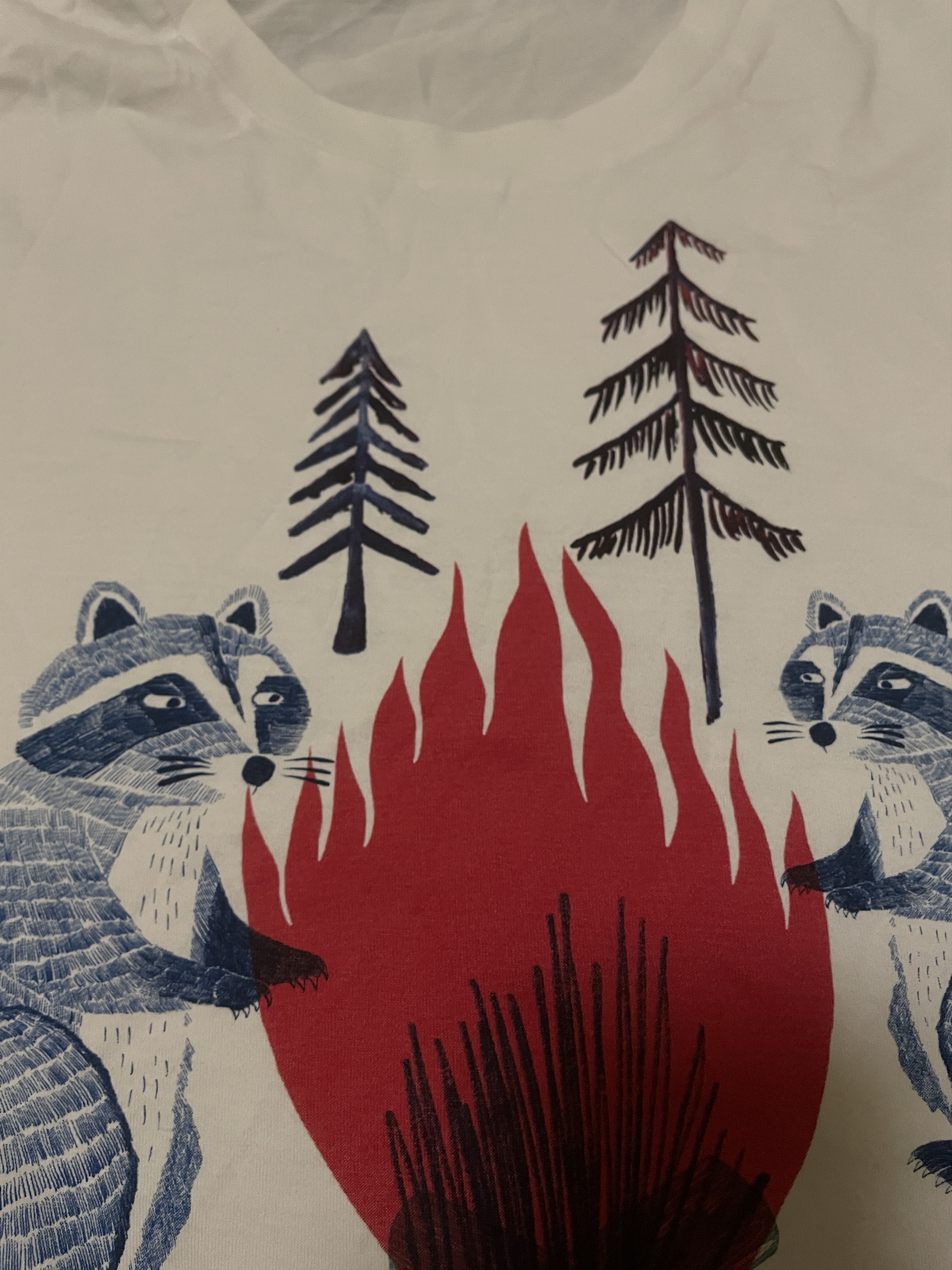 Dsquared2 dsquared2 Raccoon Roasted Fire T-Shirt Size L Size US L / EU 52-54 / 3 - 6 Thumbnail