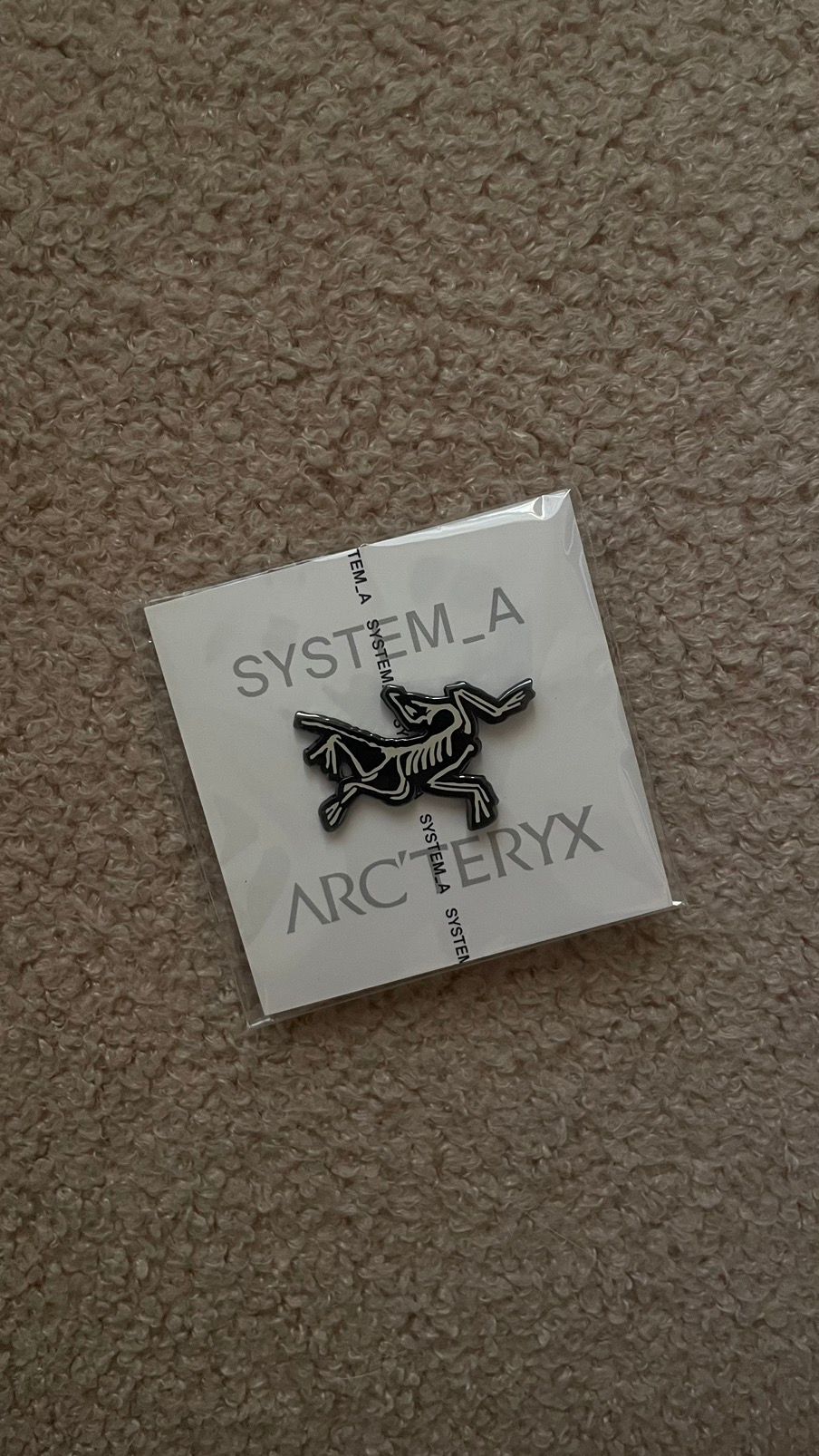 Pre-owned Arc'teryx System A Pin In Black