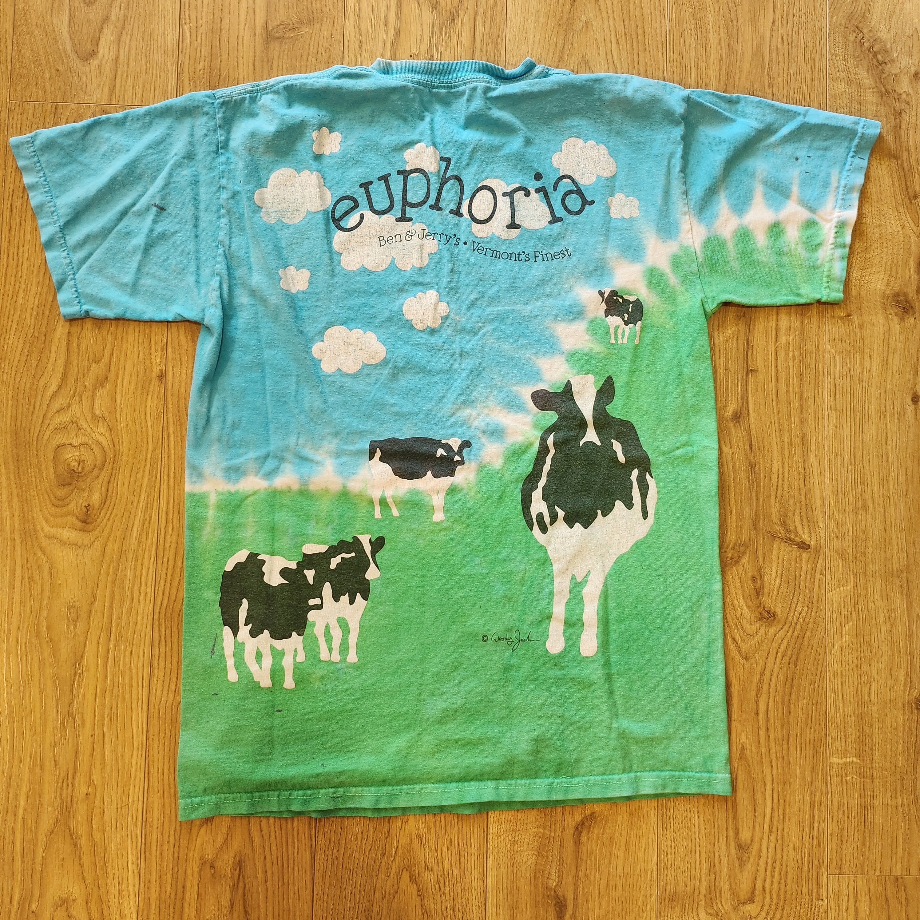 Gildan × Vintage Ben & Jerry’s Euphoria T-Shirt Sz S Nike SB Chunky Dunky Size US M / EU 48-50 / 2 - 5 Thumbnail