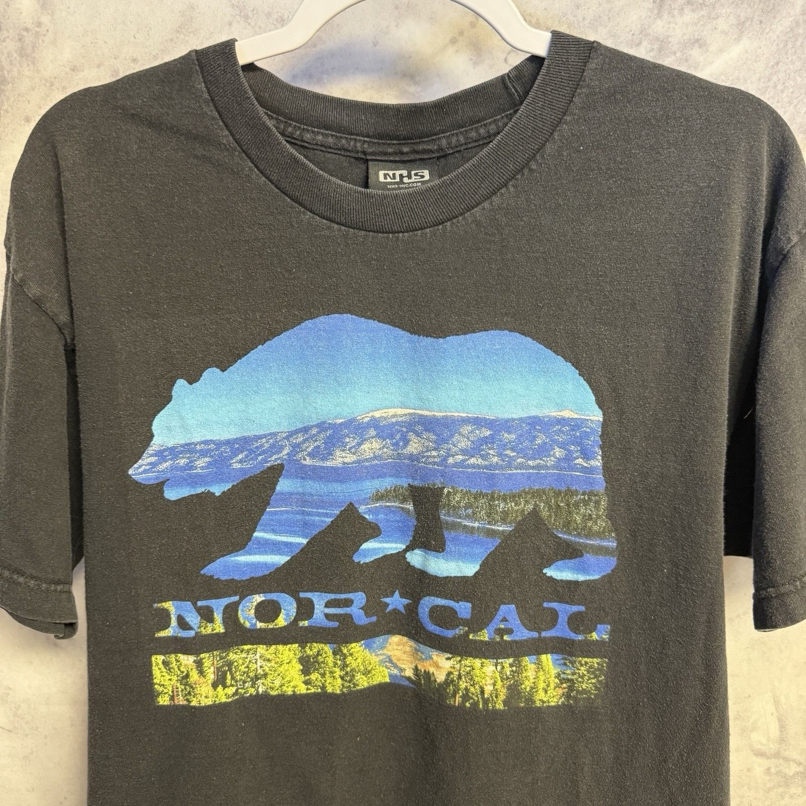 Vintage Kodiak tobacco bear tee