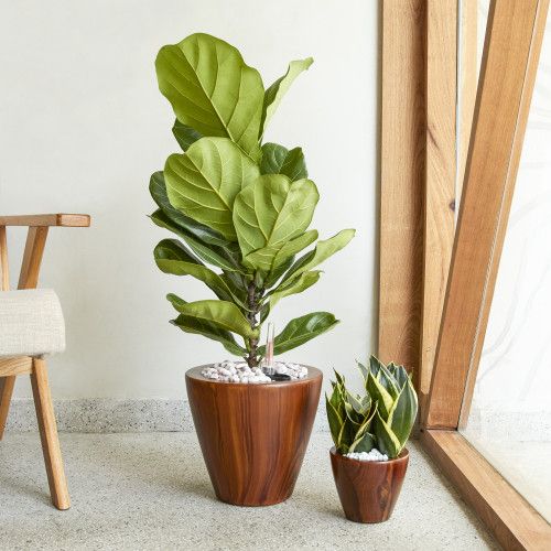 Designer × Homemade 2-Pack 10 in.Dark Wood Plastic Self-watering Planter Pot Size US L / EU 52-54 / 3 - 3 Thumbnail