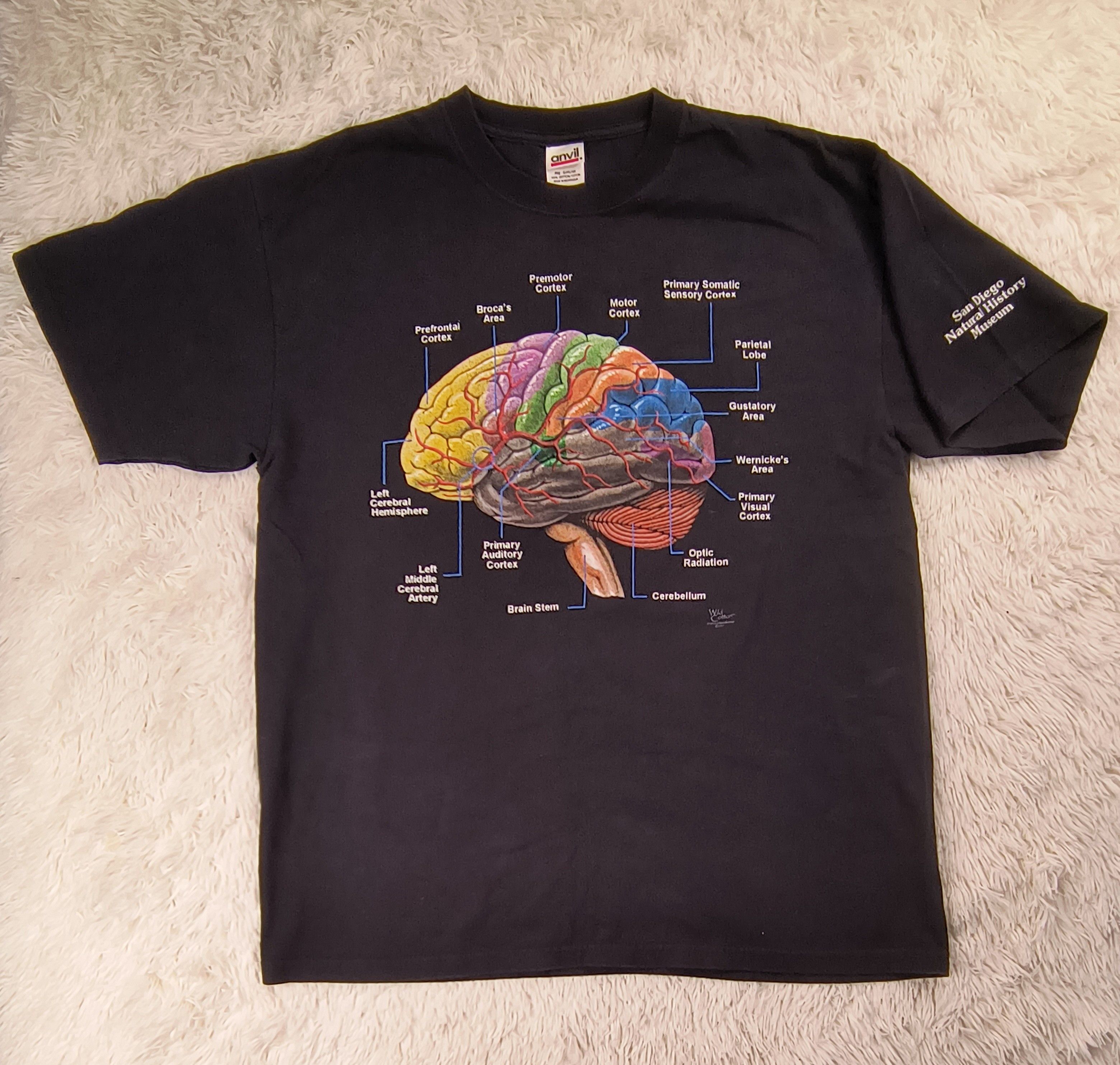 Anvil Brain physiology 2007 tee Size US XL / EU 56 / 4 - 2 Thumbnail
