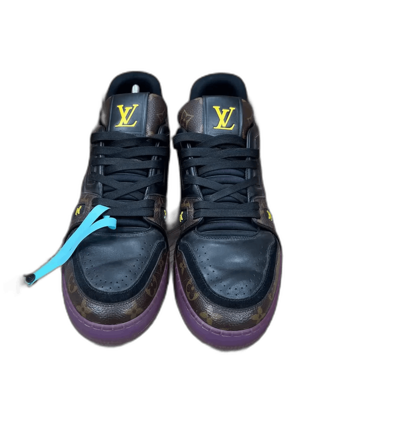 Louis Vuitton LV Louis Vuitton Trainer Sneakers in Black and Brown Size US 9 / EU 42 - 1 Thumbnail