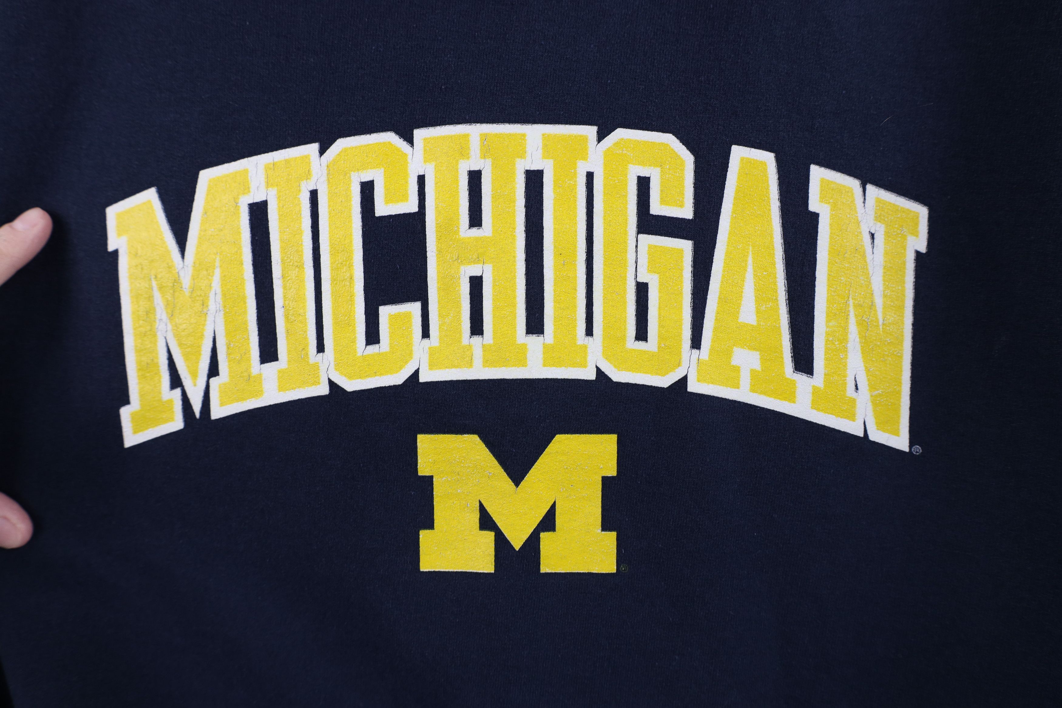 Champion Vintage Champion University of Michigan Hoodie Sweatshirt Size US M / EU 48-50 / 2 - 7 Thumbnail