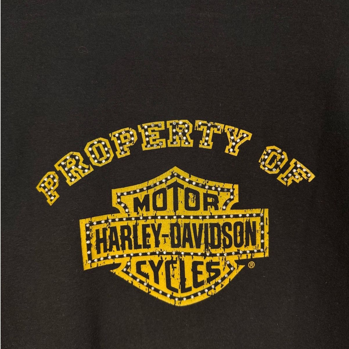 Harley Davidson × Vintage VTG Y2K Harley Davidson Gemstone Hoodie Sweatshirt Black Size S / US 4 / IT 40 - 9 Thumbnail