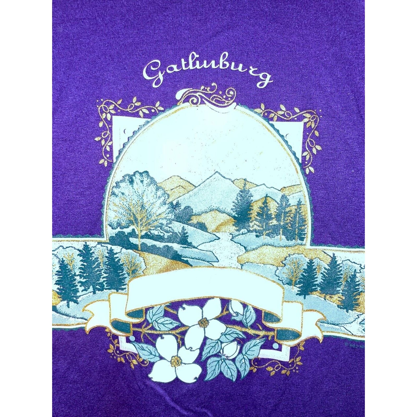 Jerzees Vintage Gatlinburg Tennessee Shirt Graphic Tee 90s VTG Large Size US L / EU 52-54 / 3 - 2 Thumbnail