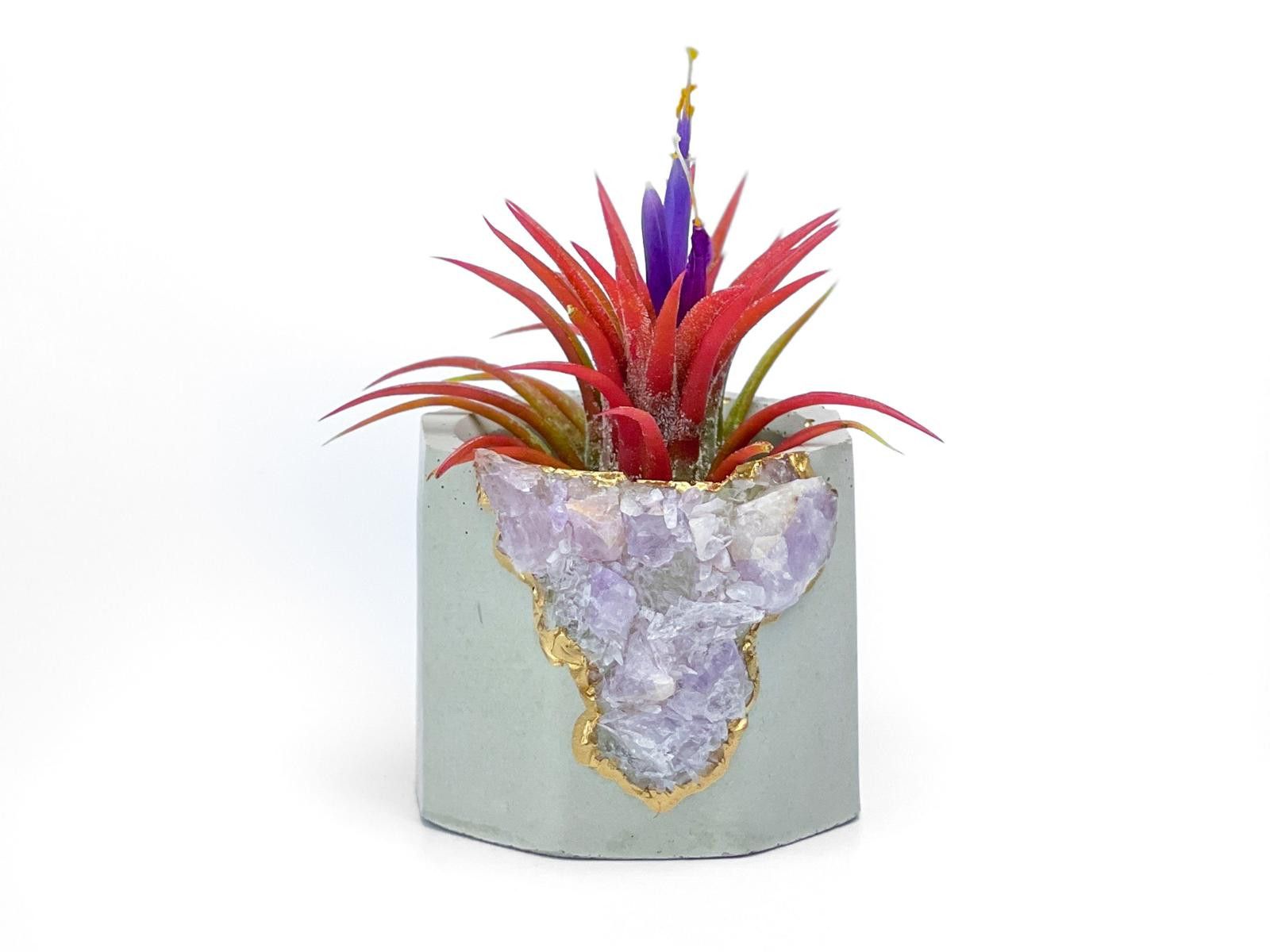 Other Amethyst Crystal Geode Planter Concrete Succulent Pot Size ONE SIZE - 3 Thumbnail