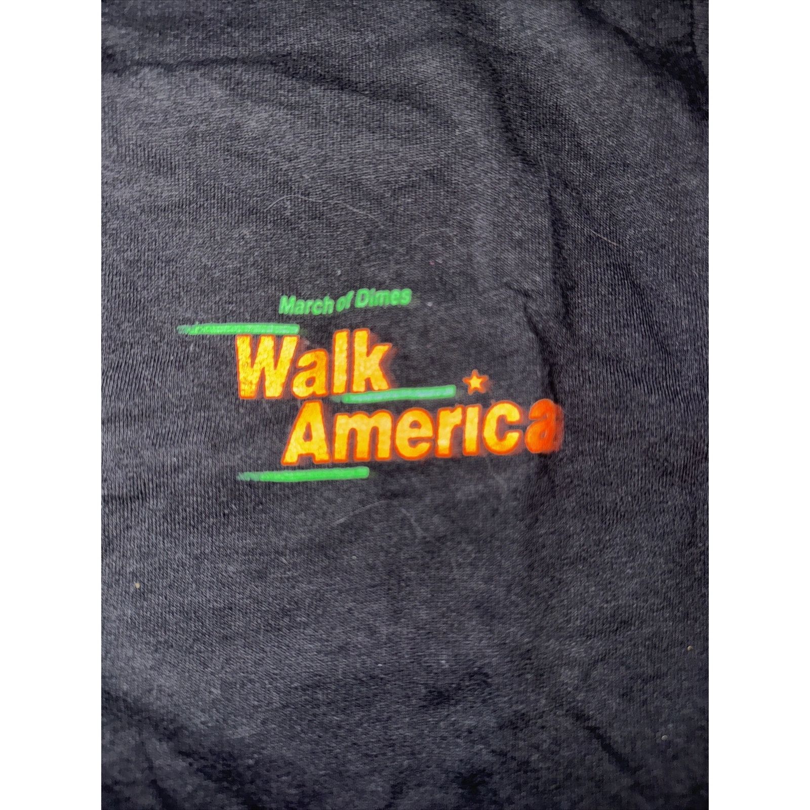 Vintage Oneita Single Stitch Made In USA Walk America T-Shirt Black Size US M / EU 48-50 / 2 - 3 Thumbnail