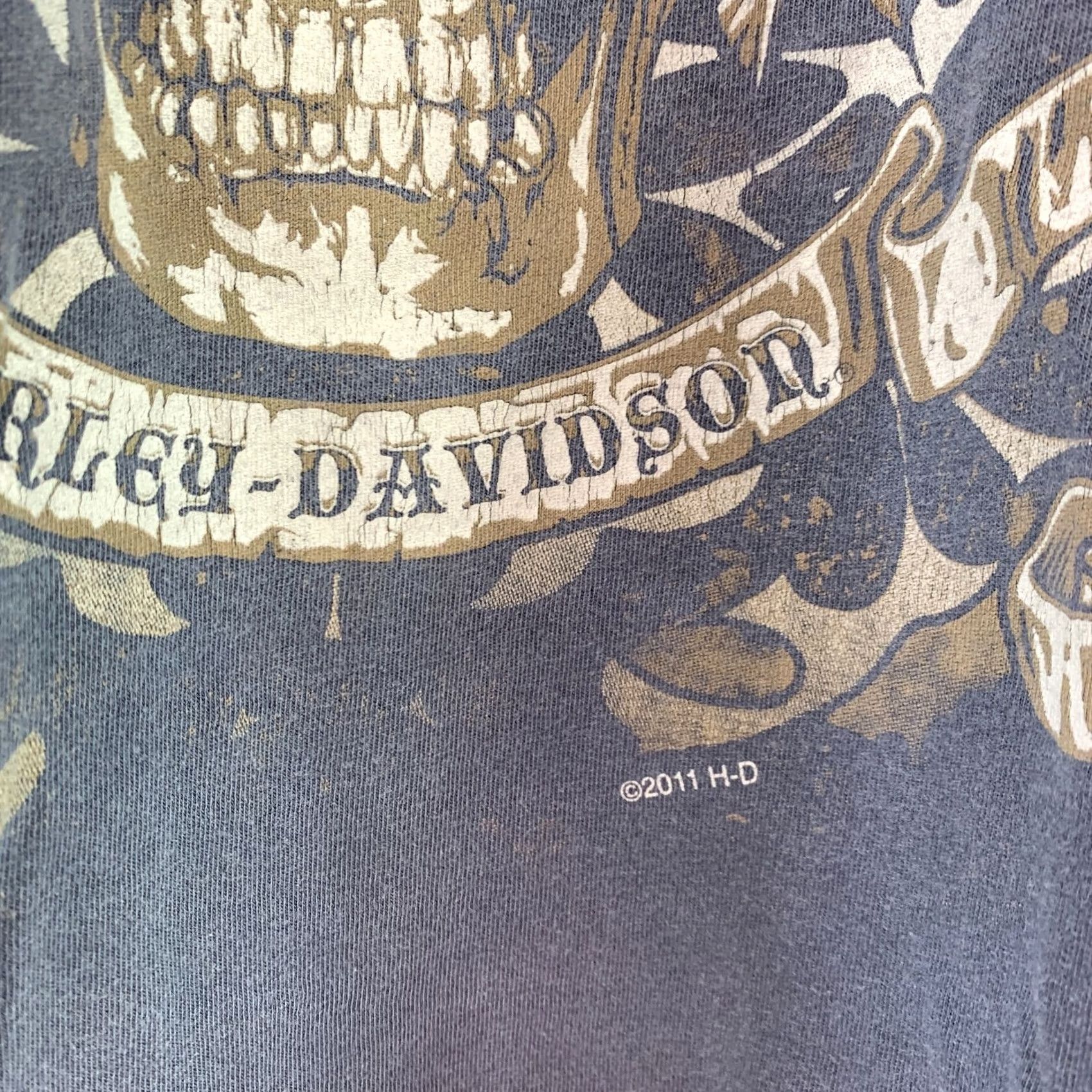 Harley Davidson Harley-Davidson Skull Gray Tee T-Shirt Shirt Size Medium unisex Adults Cotton Short Sleeve Crew Neck Logo 2011 Vintage Style M Size US M / EU 48-50 / 2 - 3 Thumbnail