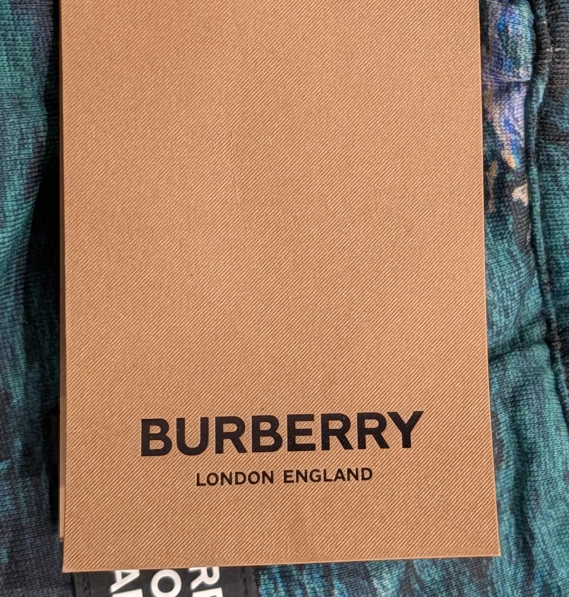 Burberry Burberry Sea Print Track Pants Deep Teal Small Size US 30 / EU 46 - 10 Thumbnail
