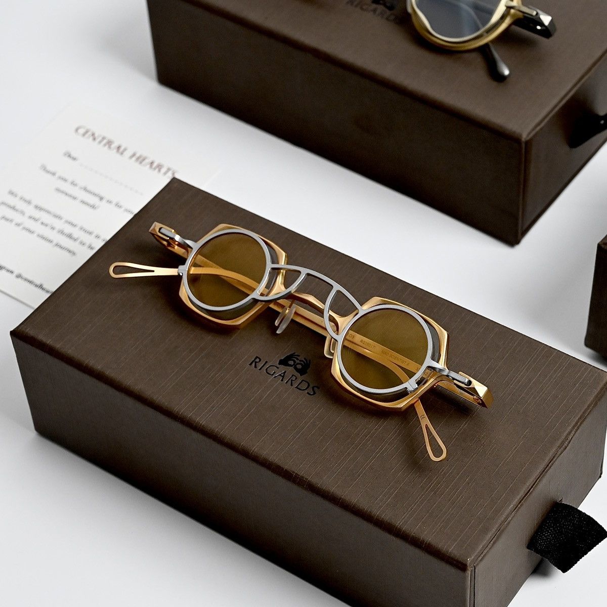 RIGARDS RG1921TI SUNGLASSES