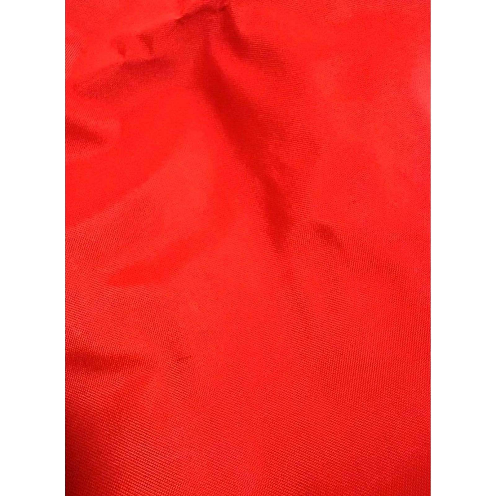 Longchamp Longchamp Rare Pliage Red Folding Vertical Tote Bag Limited Edition VHTF Designe Size ONE SIZE - 6 Thumbnail
