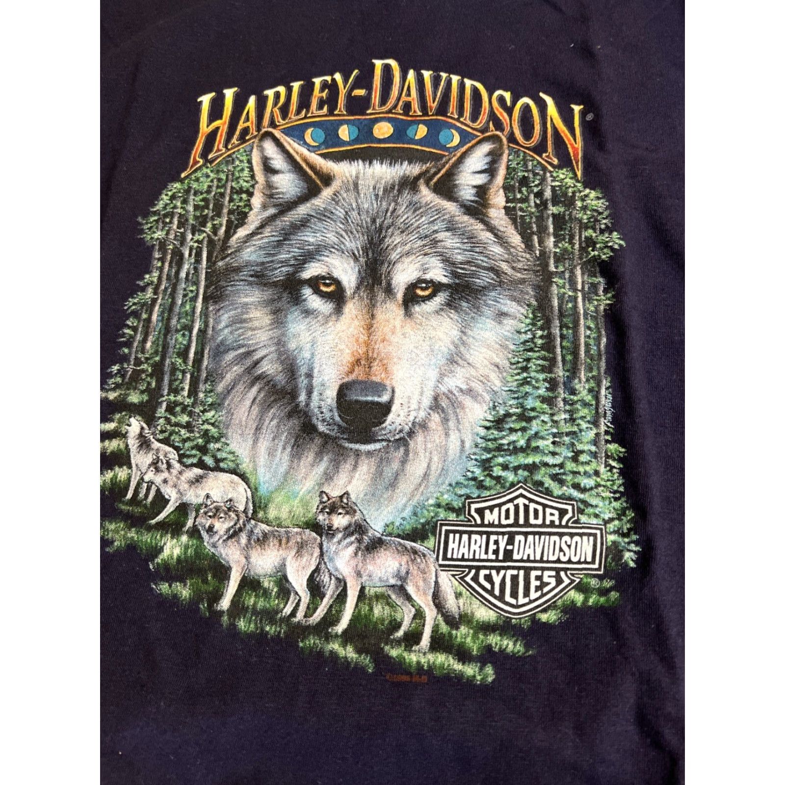 Harley Davidson Vtg 1998 Harley-Davidson Barre VT Wolf Biker T-Shirt XL Blue Short Sleeve Men Logo Graphic Print Crew Neck 90s Vintage Shirt Size US XL / EU 56 / 4 - 7 Thumbnail