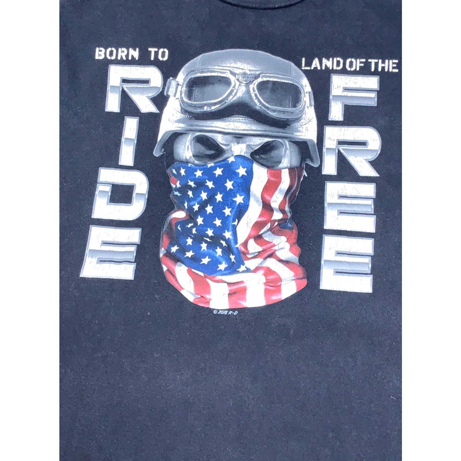 Harley Davidson Harley Davidson Born to Ride Land of the Free T Shirt S Black Motorcycle 11050 Size US S / EU 44-46 / 1 - 3 Thumbnail