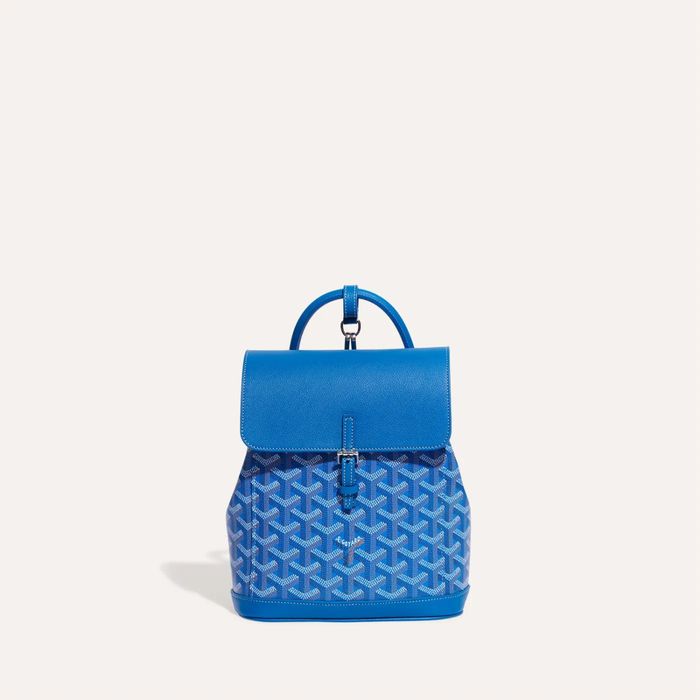 Goyard grailed shop