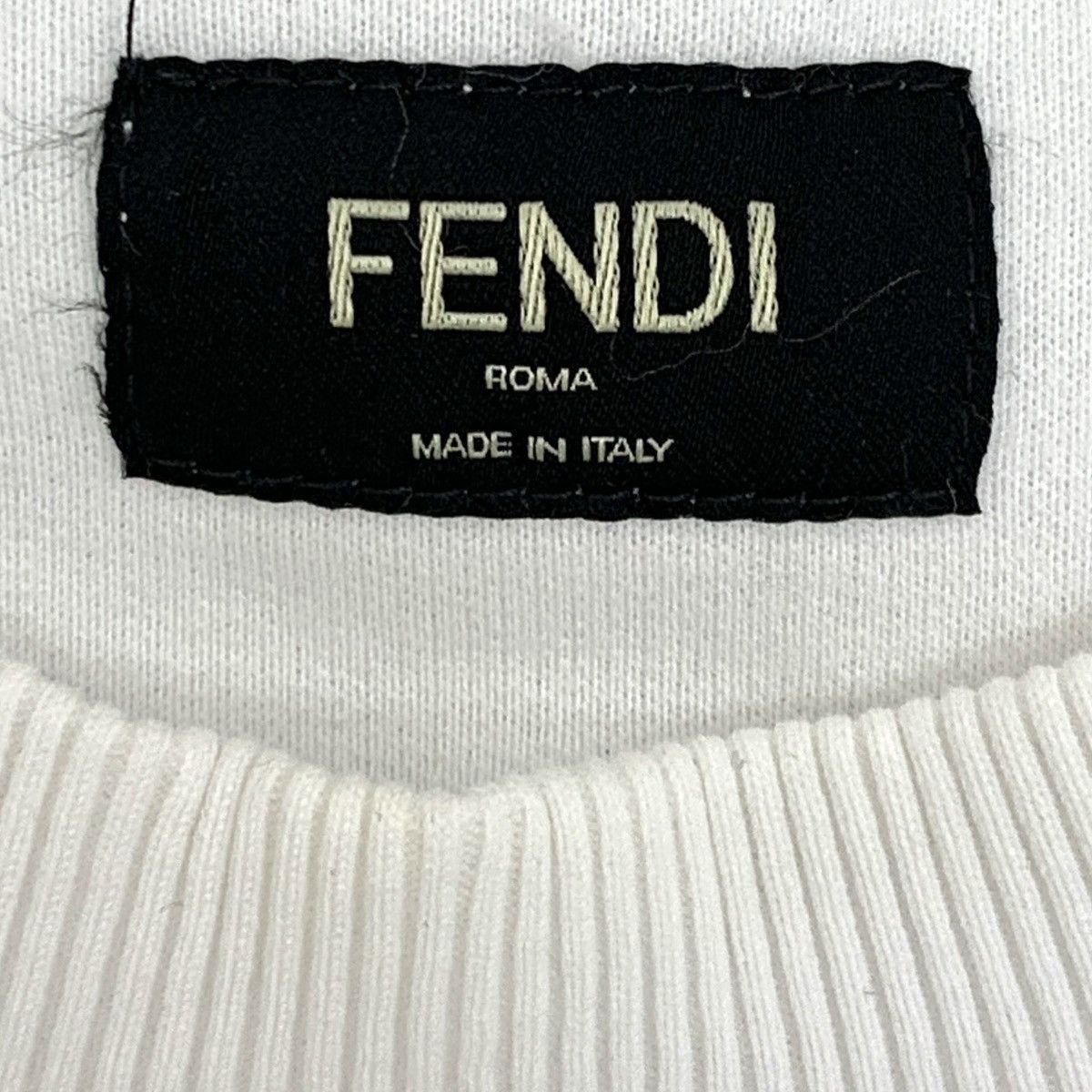 Fendi Fendi Logo Letter Embossed Long Sleeve Sweatshirt K26WX Size US XL / EU 56 / 4 - 7 Thumbnail