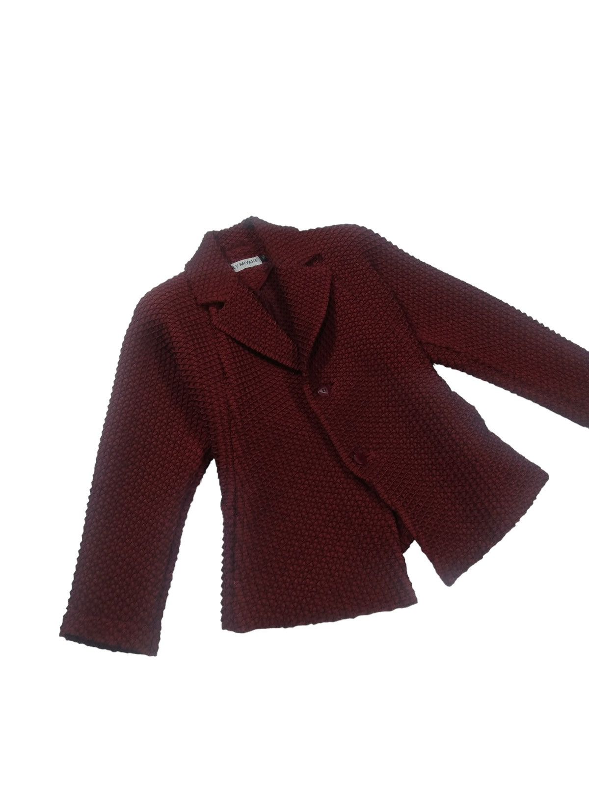 Issey Miyake × Pleats Please Issey Miyake Issey Miyake Diamond pleated Blazer Size US M / EU 48-50 / 2 - 4 Thumbnail