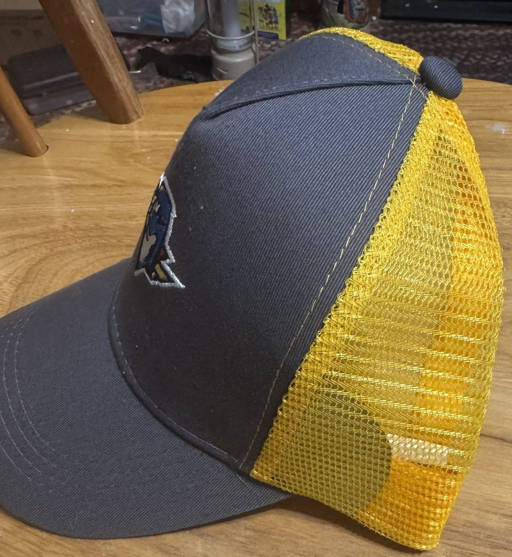 The Unbranded Brand Springfield Thunderbirds Retro Snapback Hat OSFA Gray NWOT Size ONE SIZE - 2 Thumbnail