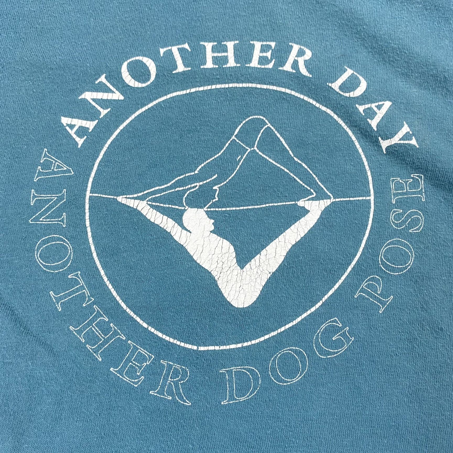 Vintage VINTAGE 90S HANES BEEFY-T YOGA T-SHIRT BLUE M Men Short Sleeve Crew Neck Graphic Print Yoga Intructor 90s Theme Size US M / EU 48-50 / 2 - 2 Thumbnail