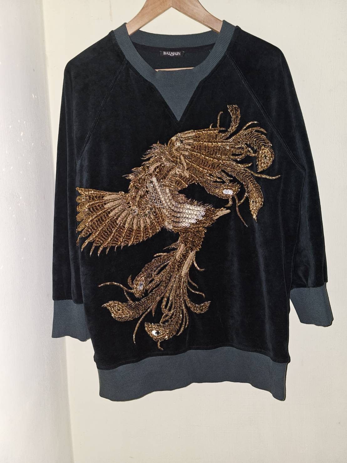Balmain Balmain super rare Phoenix 3D embellished velvet sweatshirt Size US M / EU 48-50 / 2 - 1 Thumbnail