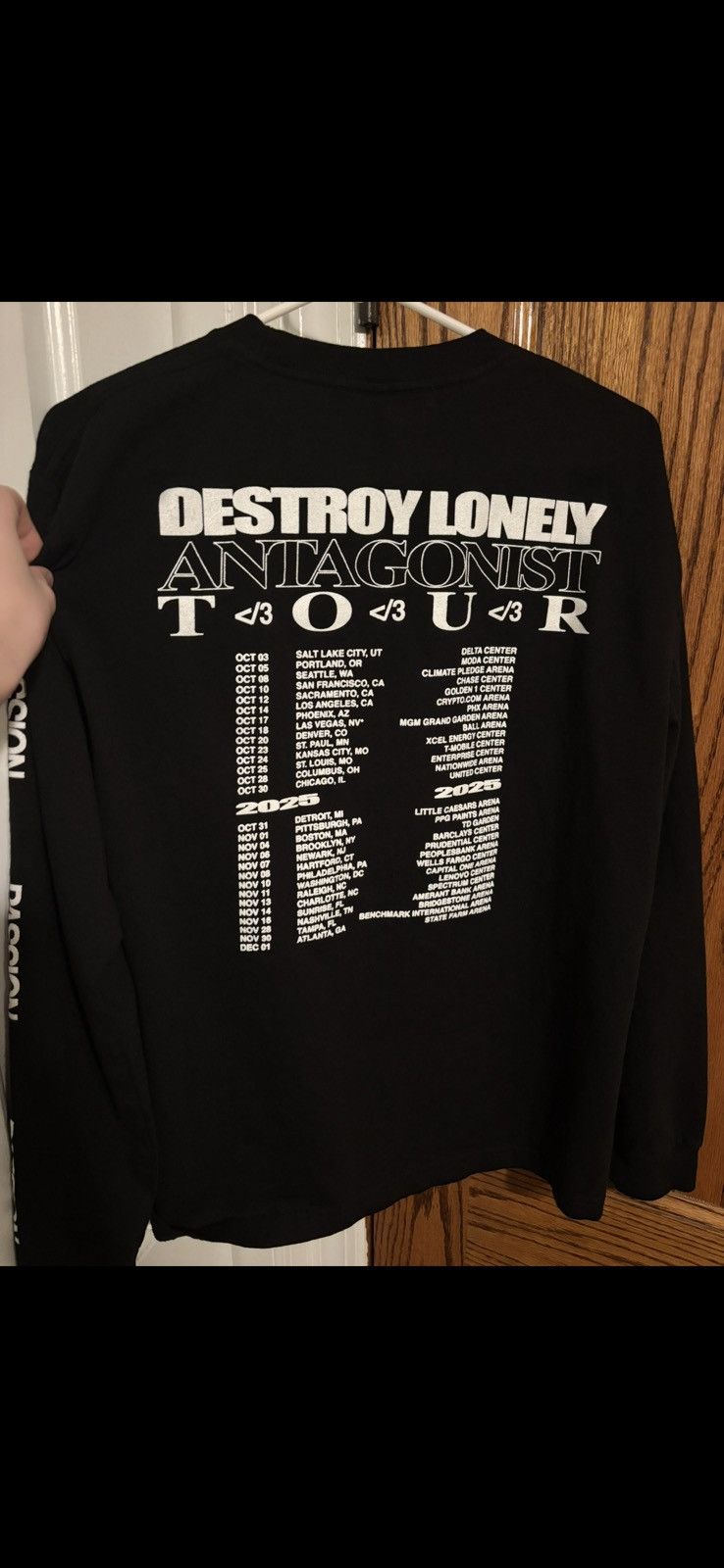 Destroy Lonely ANTAGONIST Destroy Lonely Pain Long Sleeve Size US M / EU 48-50 / 2 - 3 Thumbnail