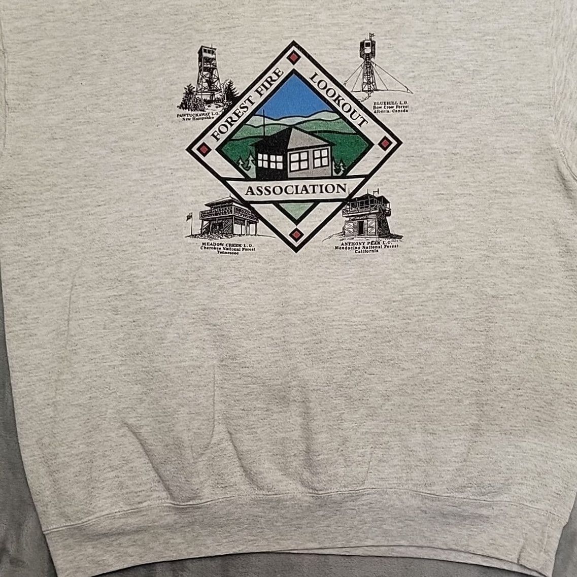 Lee VTG Lee Sweatshirt Mens L Gray Forest Fire Lookout Association Graphic Gorpcore Size US L / EU 52-54 / 3 - 3 Thumbnail