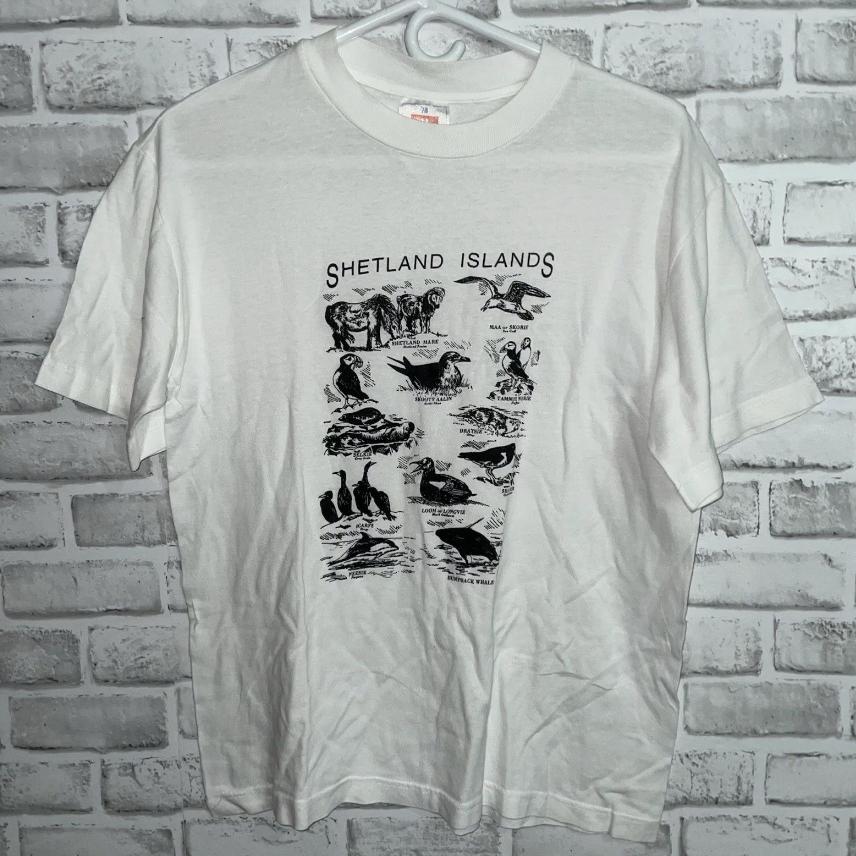 Hanes VTG Hanes Shetland Islands Animals Cotton White Graphic Tee Mens M single stitch Size US M / EU 48-50 / 2 - 2 Thumbnail