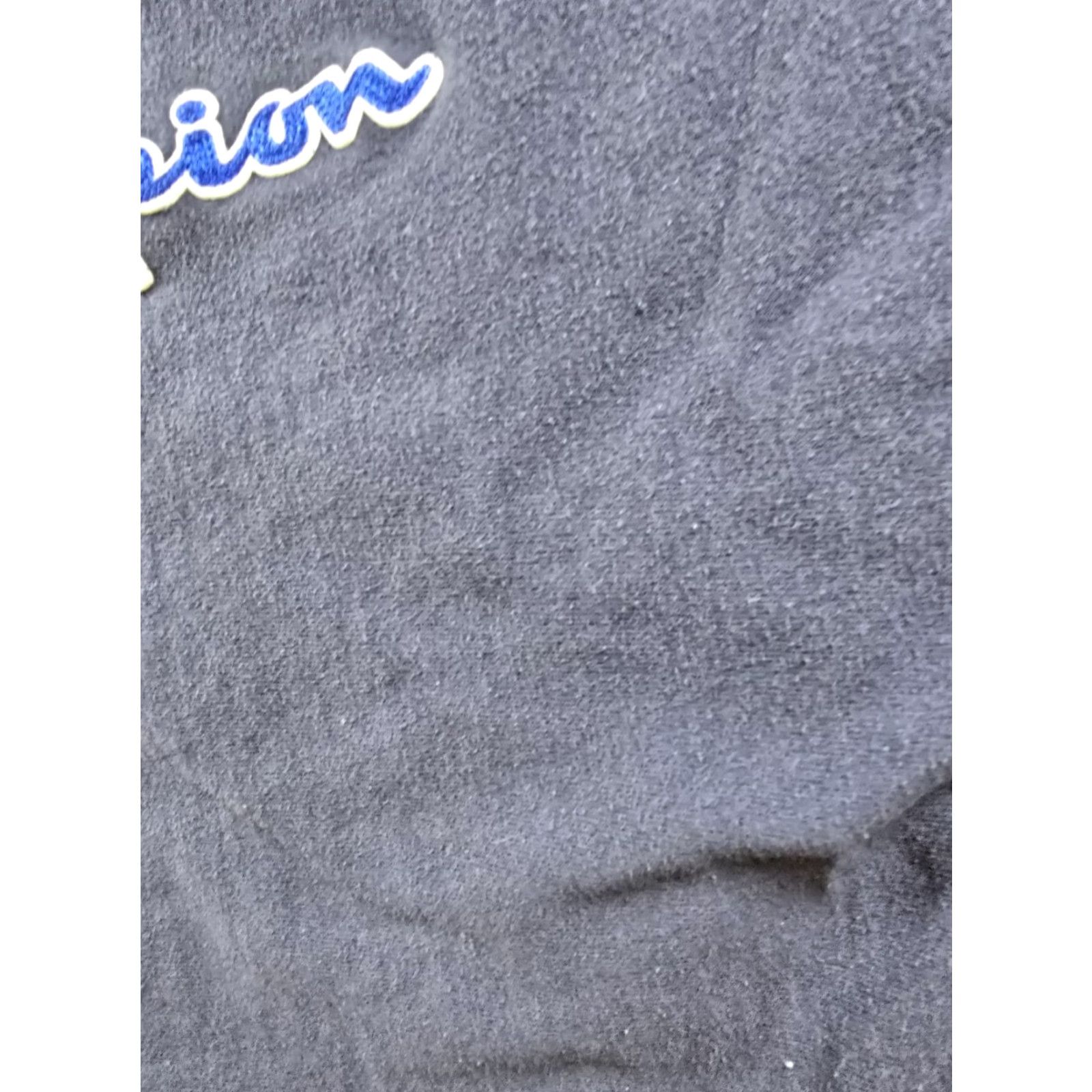 Champion Champion Reverse Weave Womens XL Heavyweight Sweatshirt Read Size XL / US 12-14 / IT 48-50 - 4 Thumbnail