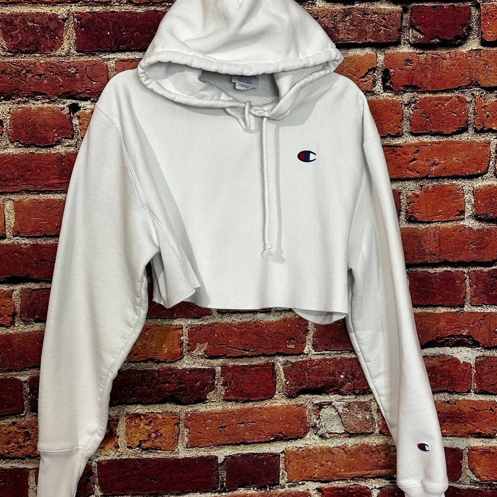 Champion Champion Hoodie Size S / US 4 / IT 40 - 1 Thumbnail