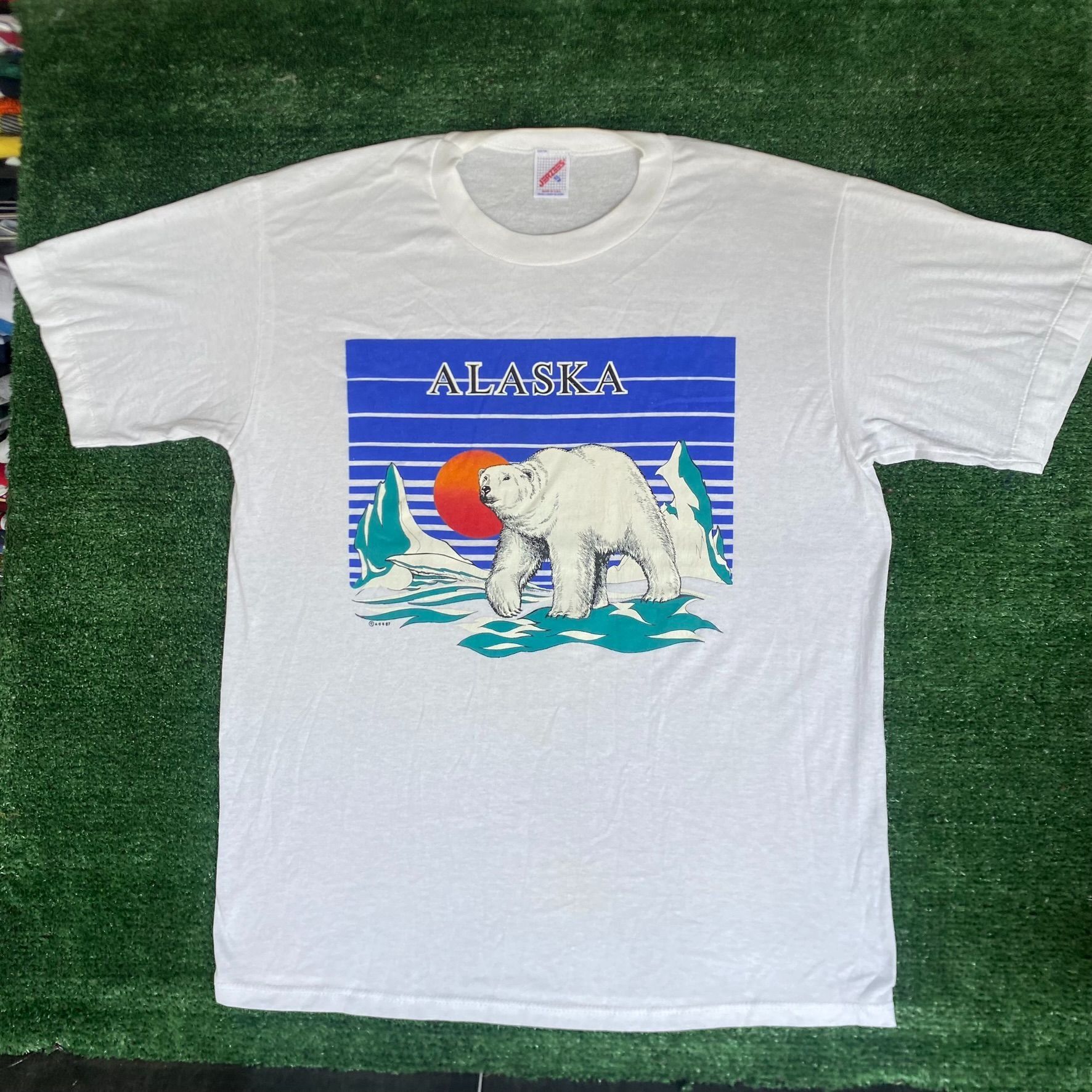 Jerzees Vintage 90s Alaska Polar Bear Shirt Nature Animal Tee Size US XL / EU 56 / 4 - 1 Thumbnail