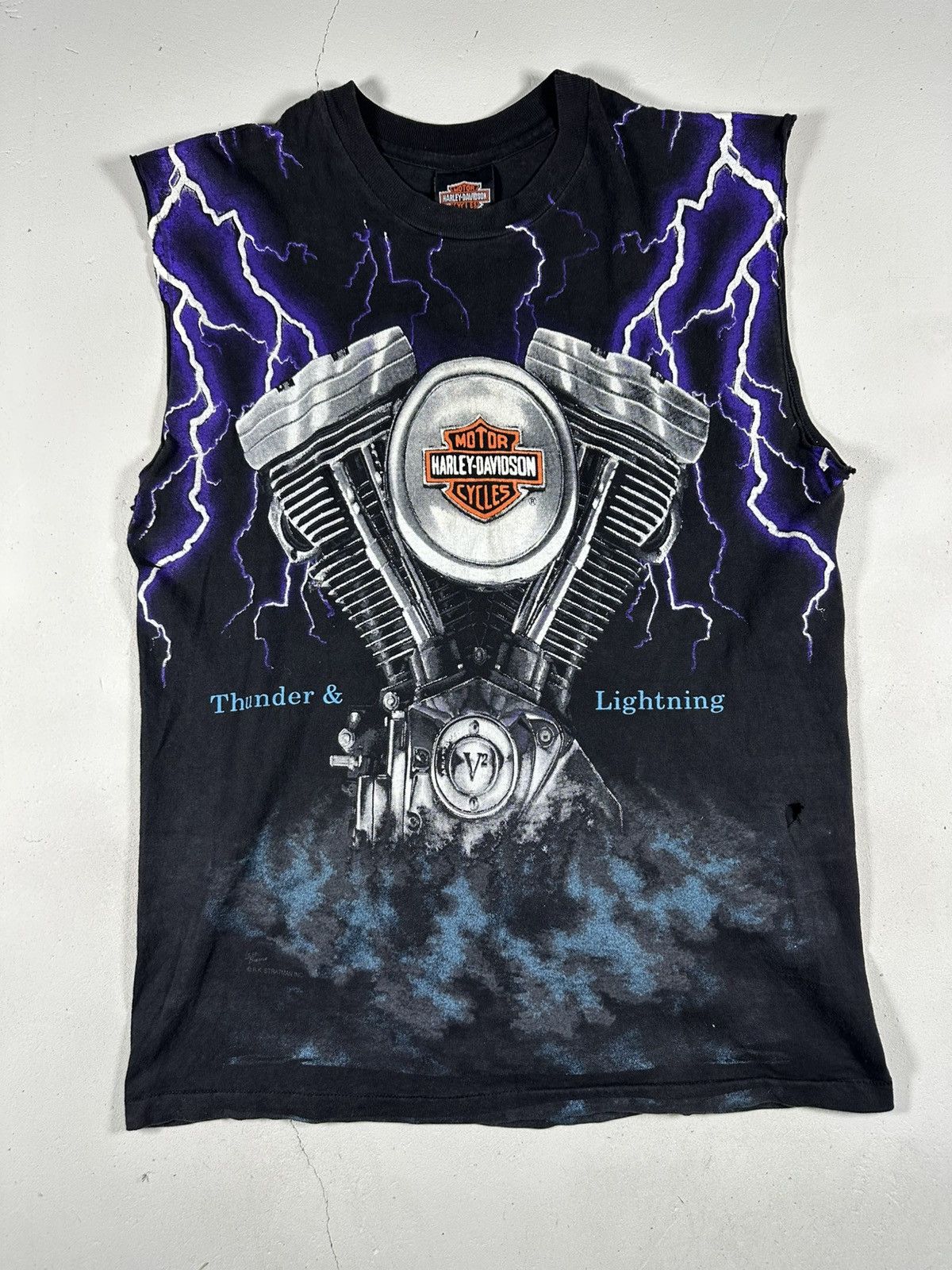 USA製 HARLEY DAVIDSON THUNDER-LIGHTNING 2003 Harley-Davidson® FXSTS/I Springer® Softail® for Sale in
