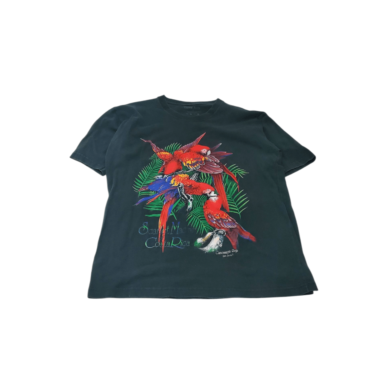 Vintage Vintage 2010s Scarlet Macaw T-Shirt Size US L / EU 52-54 / 3 - 1 Thumbnail