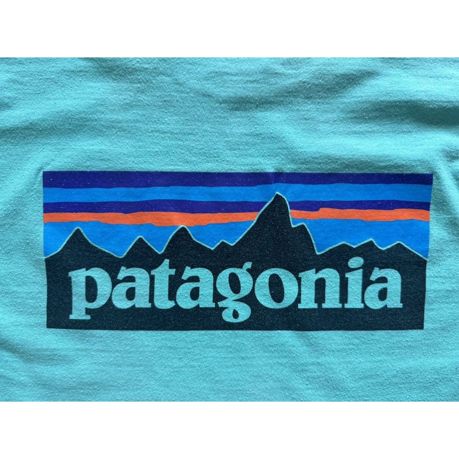 Patagonia Vintage Patagonia Big Logo longsleeve shirt Size US M / EU 48-50 / 2 - 2 Thumbnail
