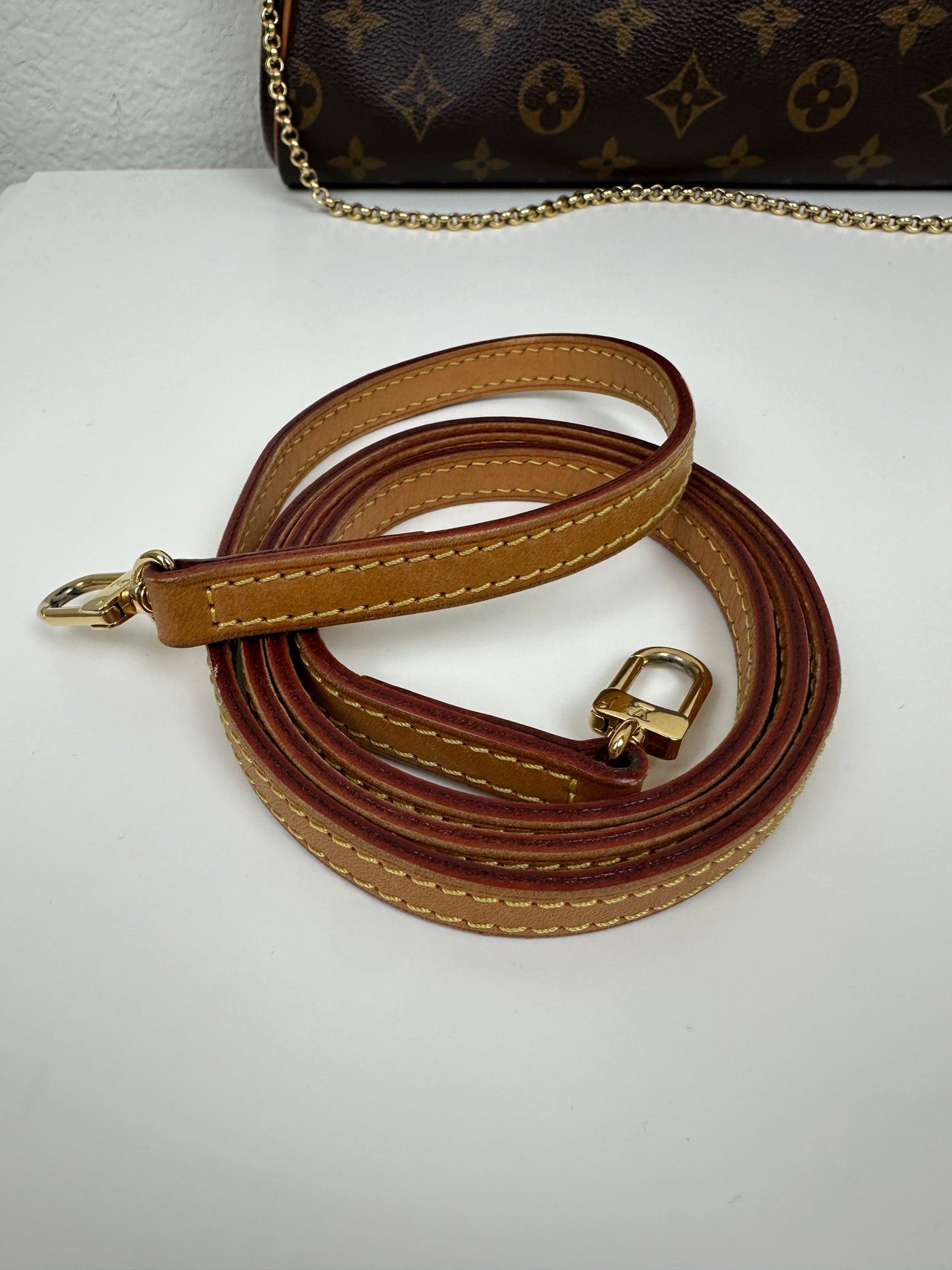 Louis Vuitton Monogram Coated Canvas Eva Brown