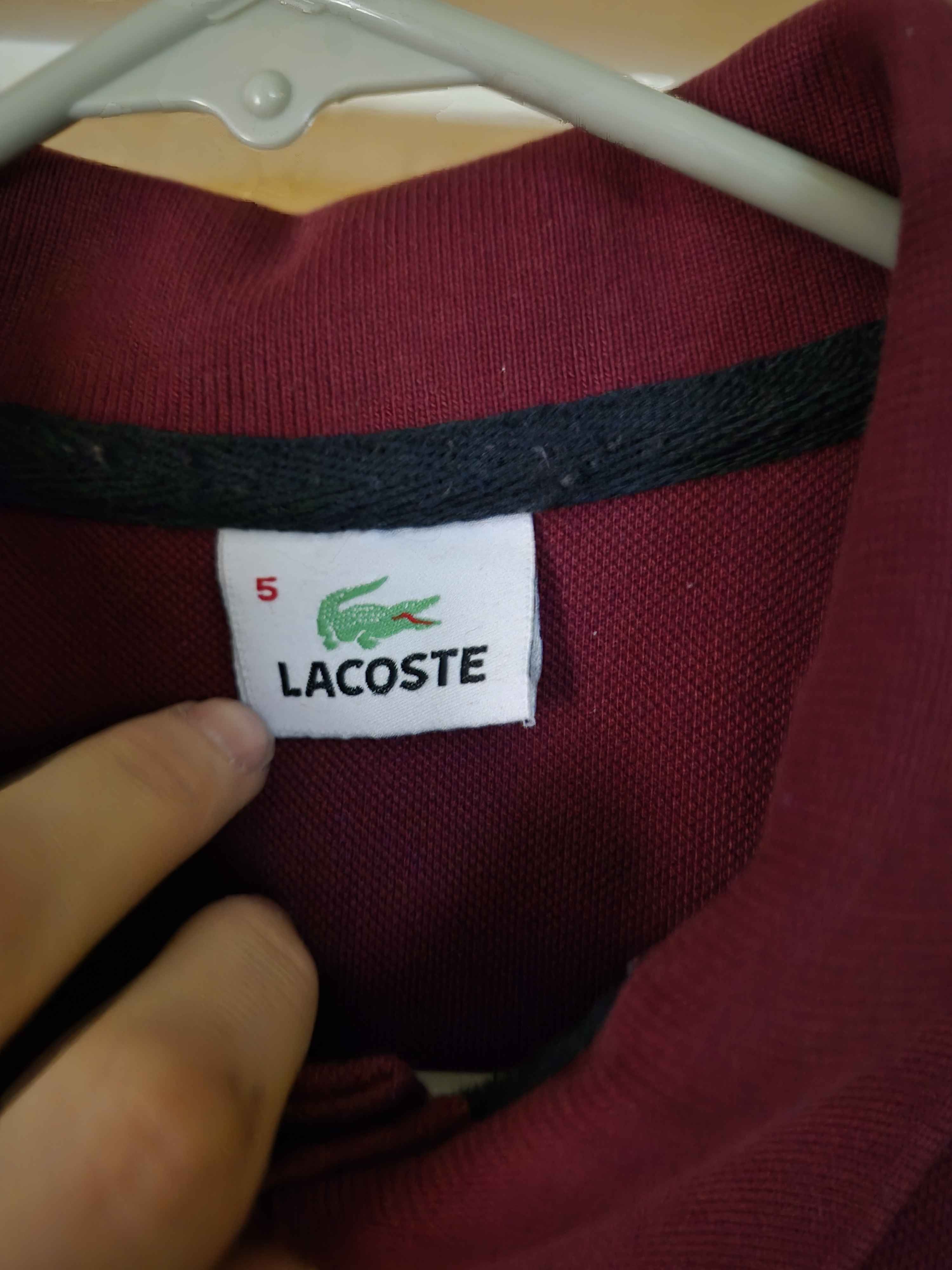 Lacoste Burgundy Lacoste Polo Size US L / EU 52-54 / 3 - 3 Thumbnail