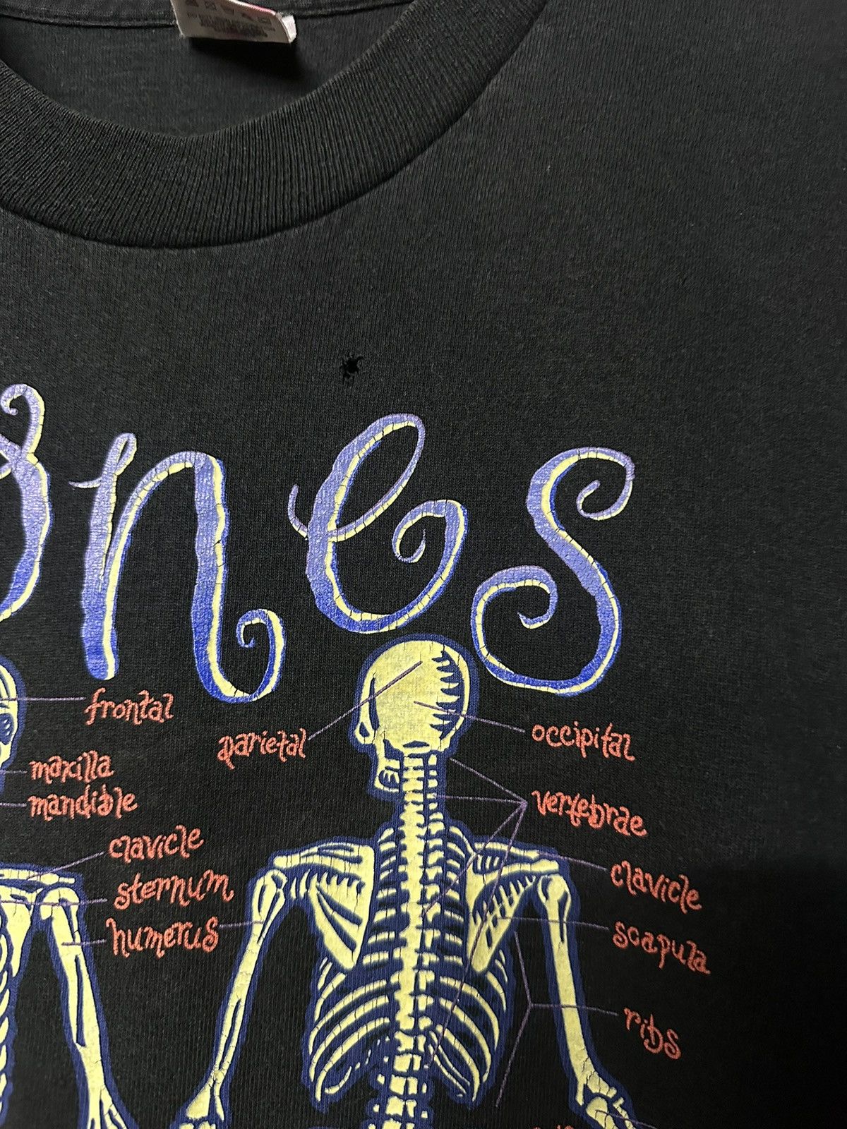 Vintage Vintage 90s The Bones Anatomy Anderson Studio Museum Faded T Size US L / EU 52-54 / 3 - 4 Thumbnail