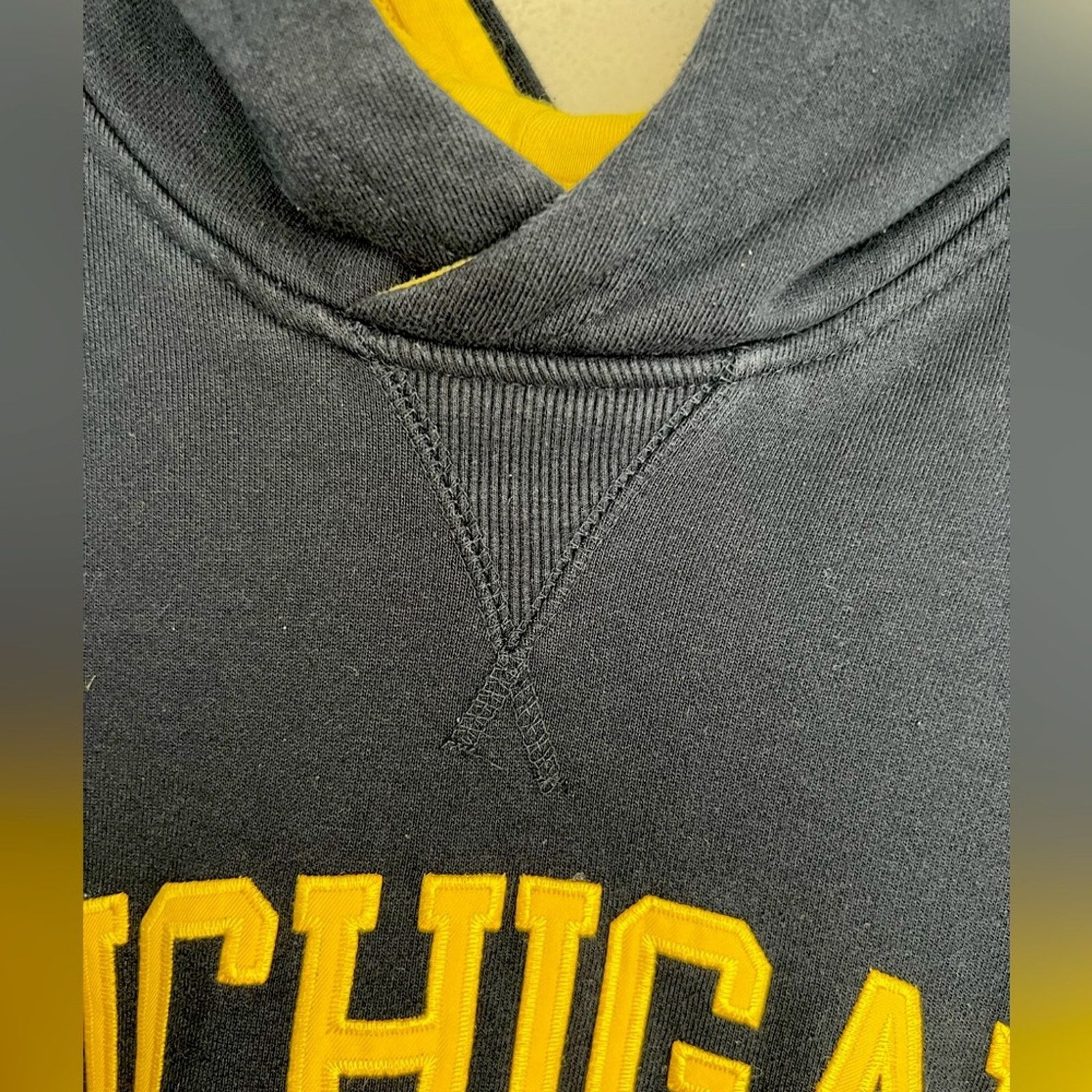Champion Vintage Champion Michigan Hoodie Embroidered Wolverines Size US M / EU 48-50 / 2 - 9 Thumbnail