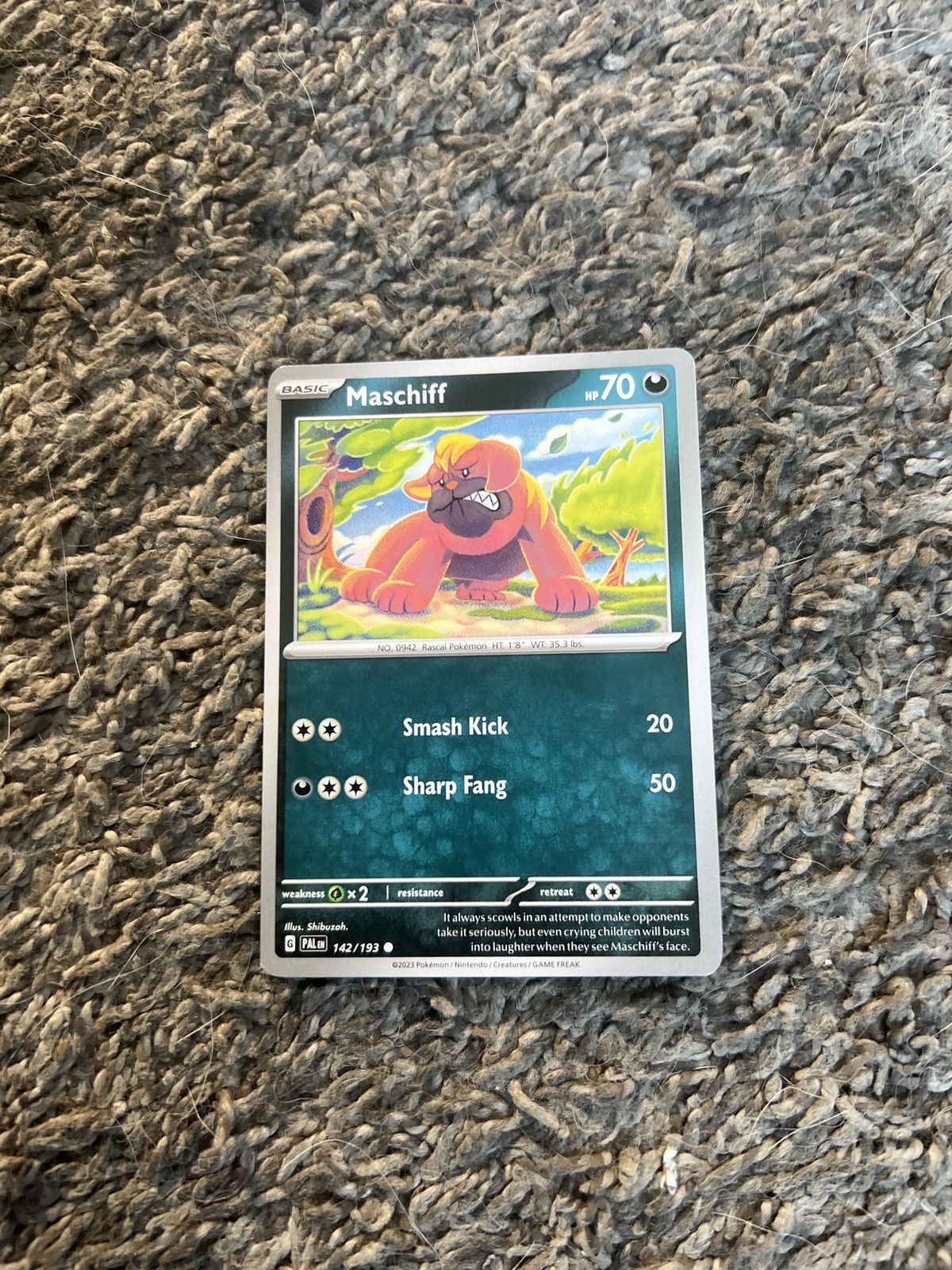 Hypebeast × Nintendo × Pokemon 2023 Pokémon Maschiff Basic Card Size ONE SIZE - 1 Thumbnail