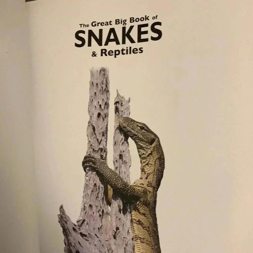 Designer The Great Big Book of Snakes & Reptiles Size ONE SIZE - 2 Thumbnail